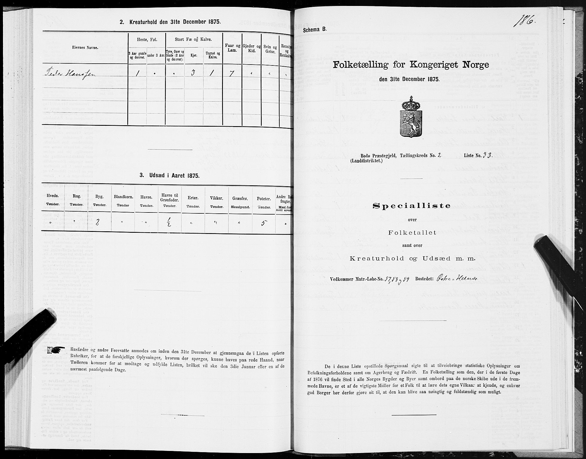 SAT, Folketelling 1875 for 1843L Bodø prestegjeld, Bodø landsokn, 1875, s. 1186