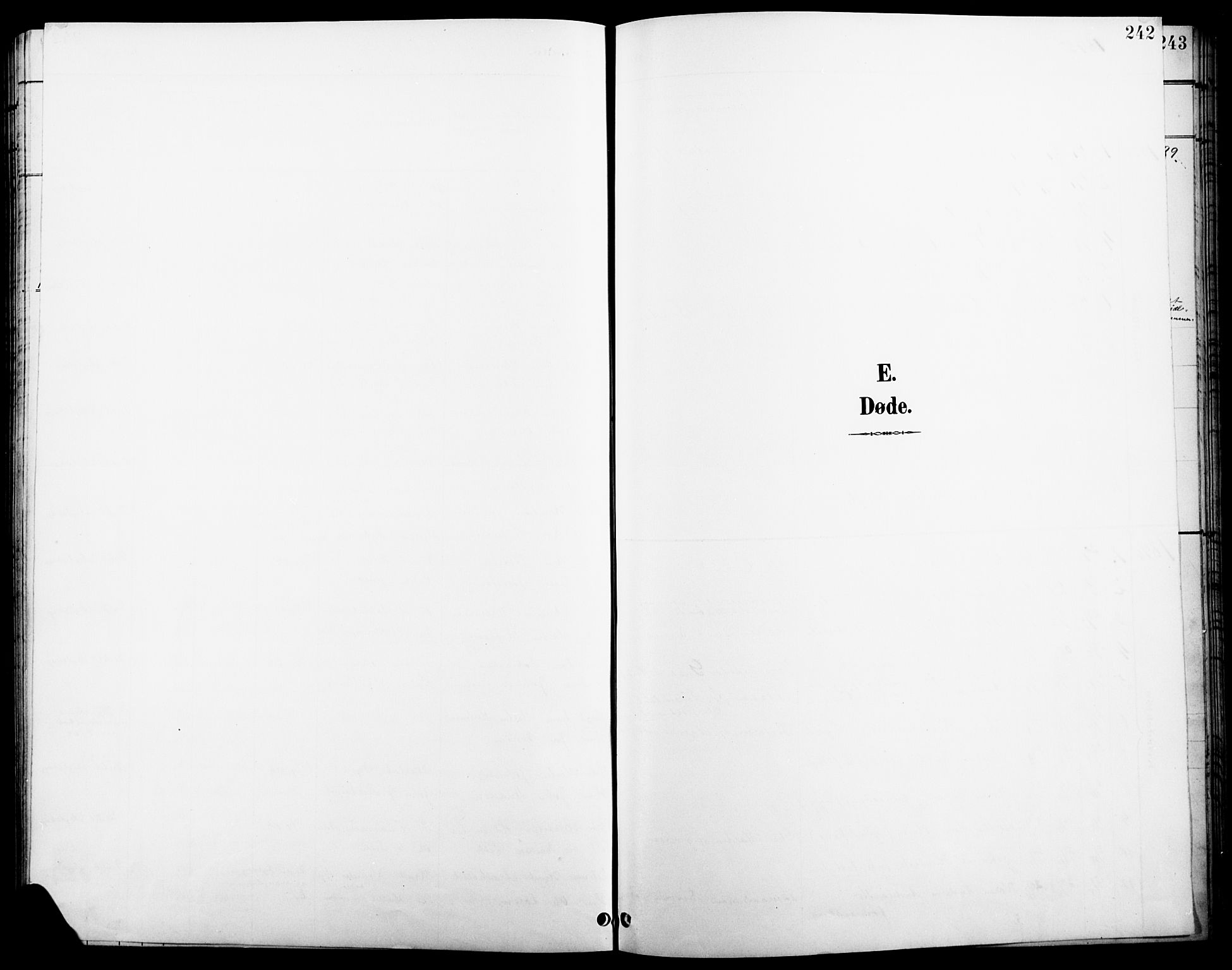 Åsnes prestekontor, SAH/PREST-042/H/Ha/Hab/L0004: Klokkerbok nr. 4, 1895-1909, s. 242