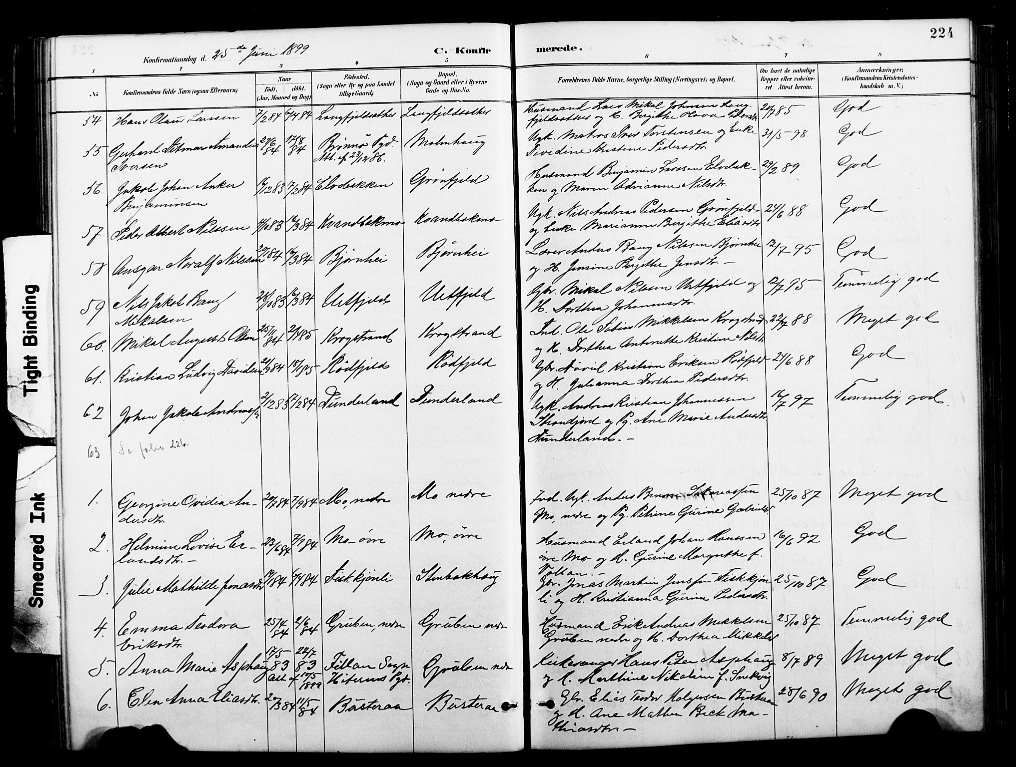 Ministerialprotokoller, klokkerbøker og fødselsregistre - Nordland, AV/SAT-A-1459/827/L0421: Klokkerbok nr. 827C10, 1887-1906, s. 224