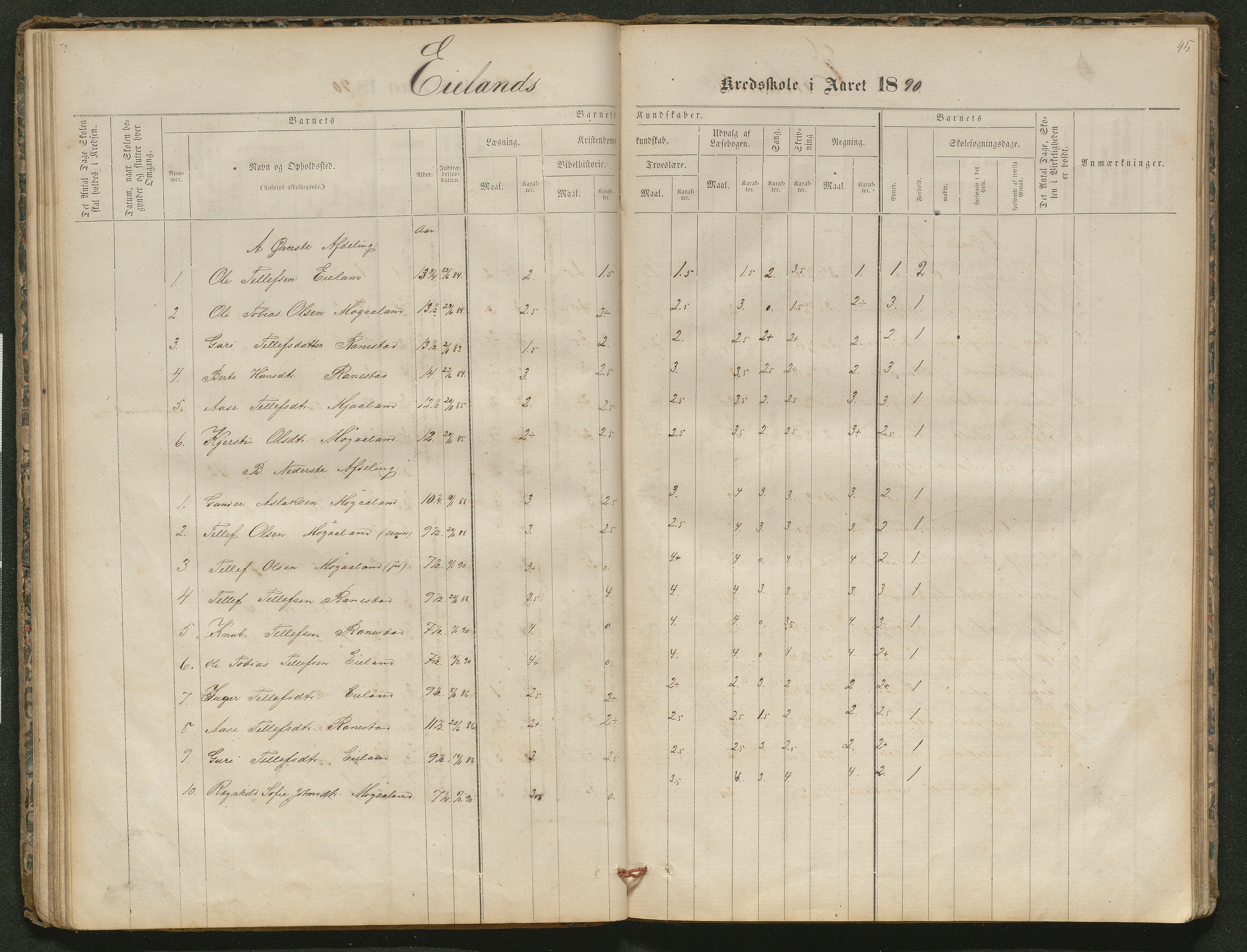 Iveland kommune, De enkelte kretsene/Skolene, AAKS/KA0935-550/A_5/L0003: Dagbok for Vatnstraum og Eieland krets, 1864-1891, s. 45