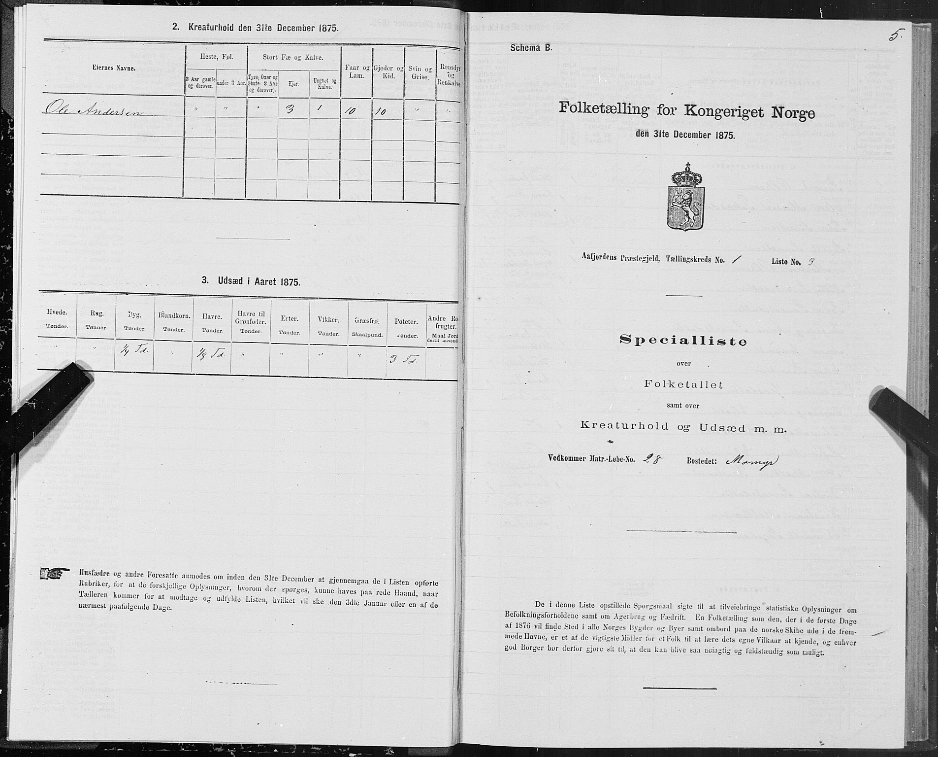 SAT, Folketelling 1875 for 1630P Aafjorden prestegjeld, 1875, s. 1005