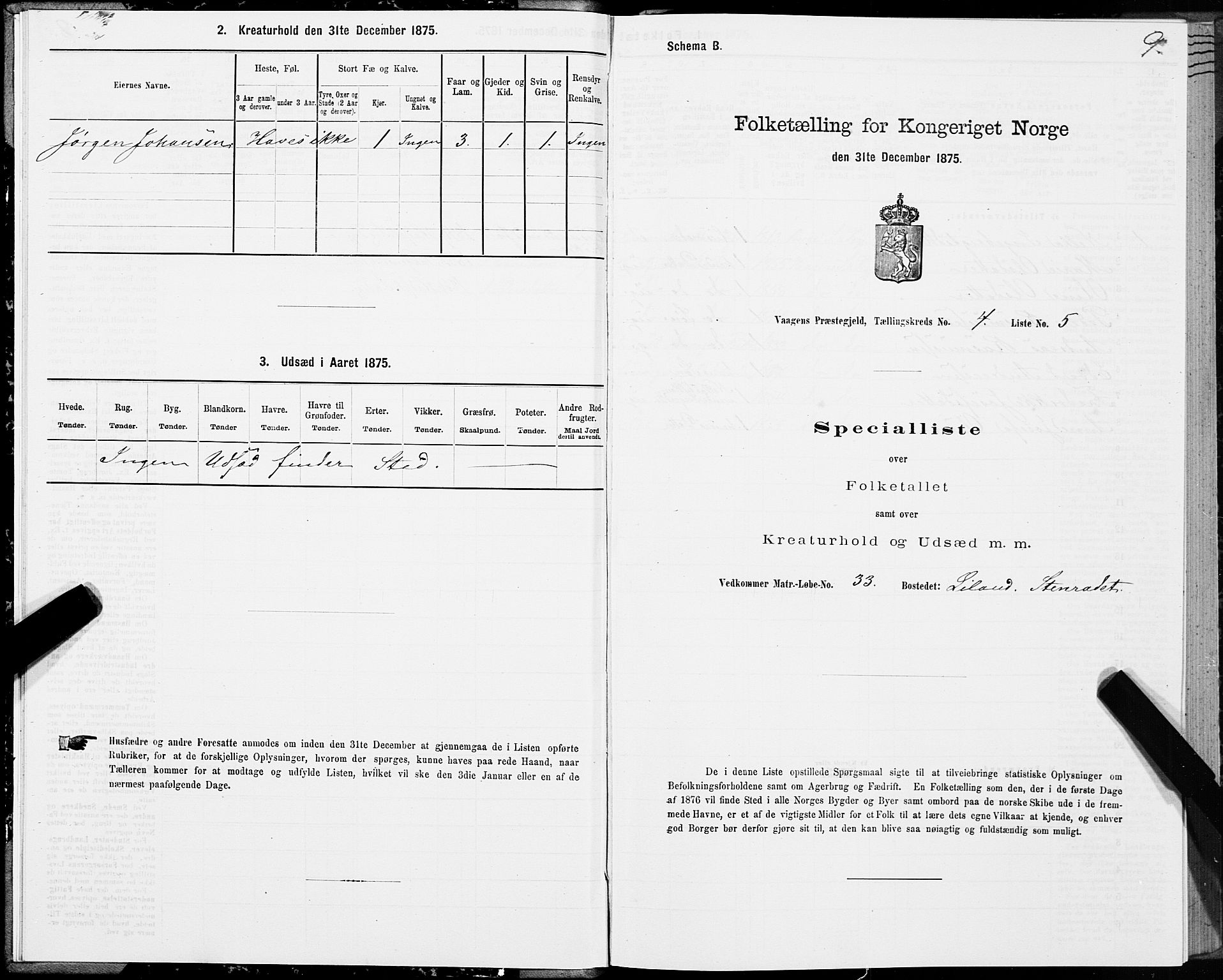 SAT, Folketelling 1875 for 1865P Vågan prestegjeld, 1875, s. 3009