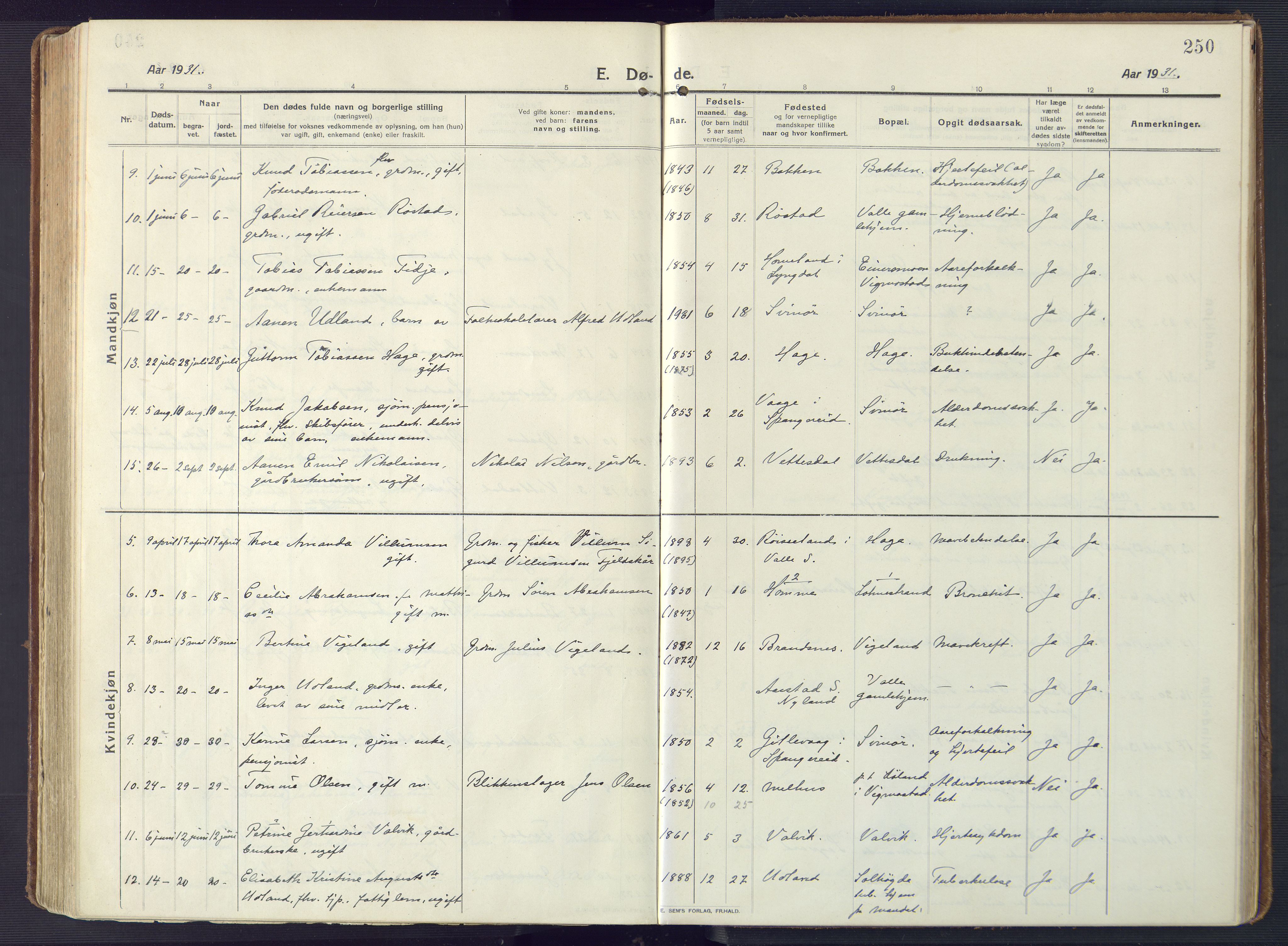 Sør-Audnedal sokneprestkontor, SAK/1111-0039/F/Fa/Fab/L0011: Ministerialbok nr. A 11, 1912-1938, s. 250