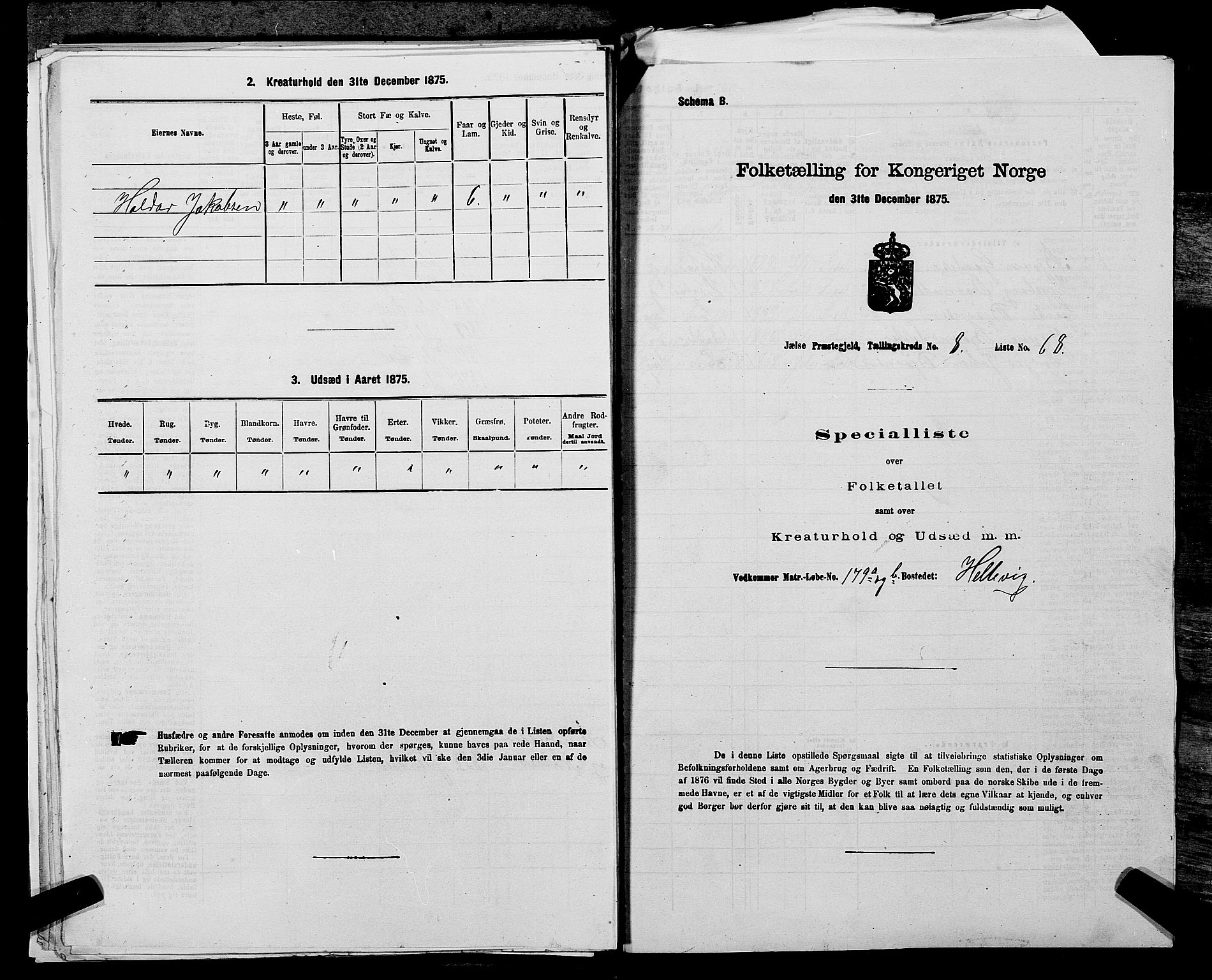 SAST, Folketelling 1875 for 1138P Jelsa prestegjeld, 1875, s. 807