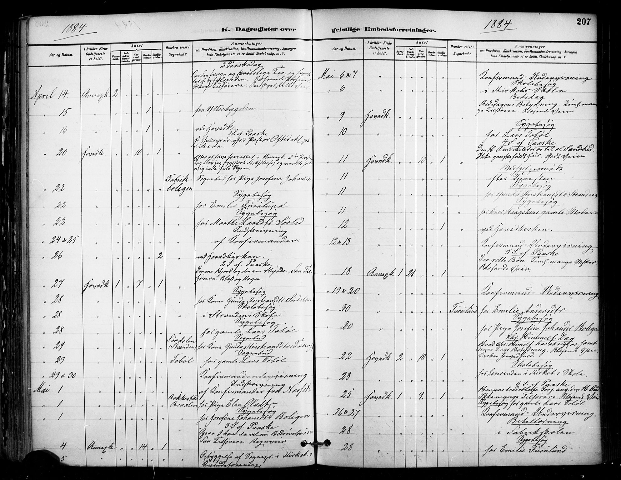 Enebakk prestekontor Kirkebøker, AV/SAO-A-10171c/F/Fa/L0016: Ministerialbok nr. I 16, 1883-1898, s. 207