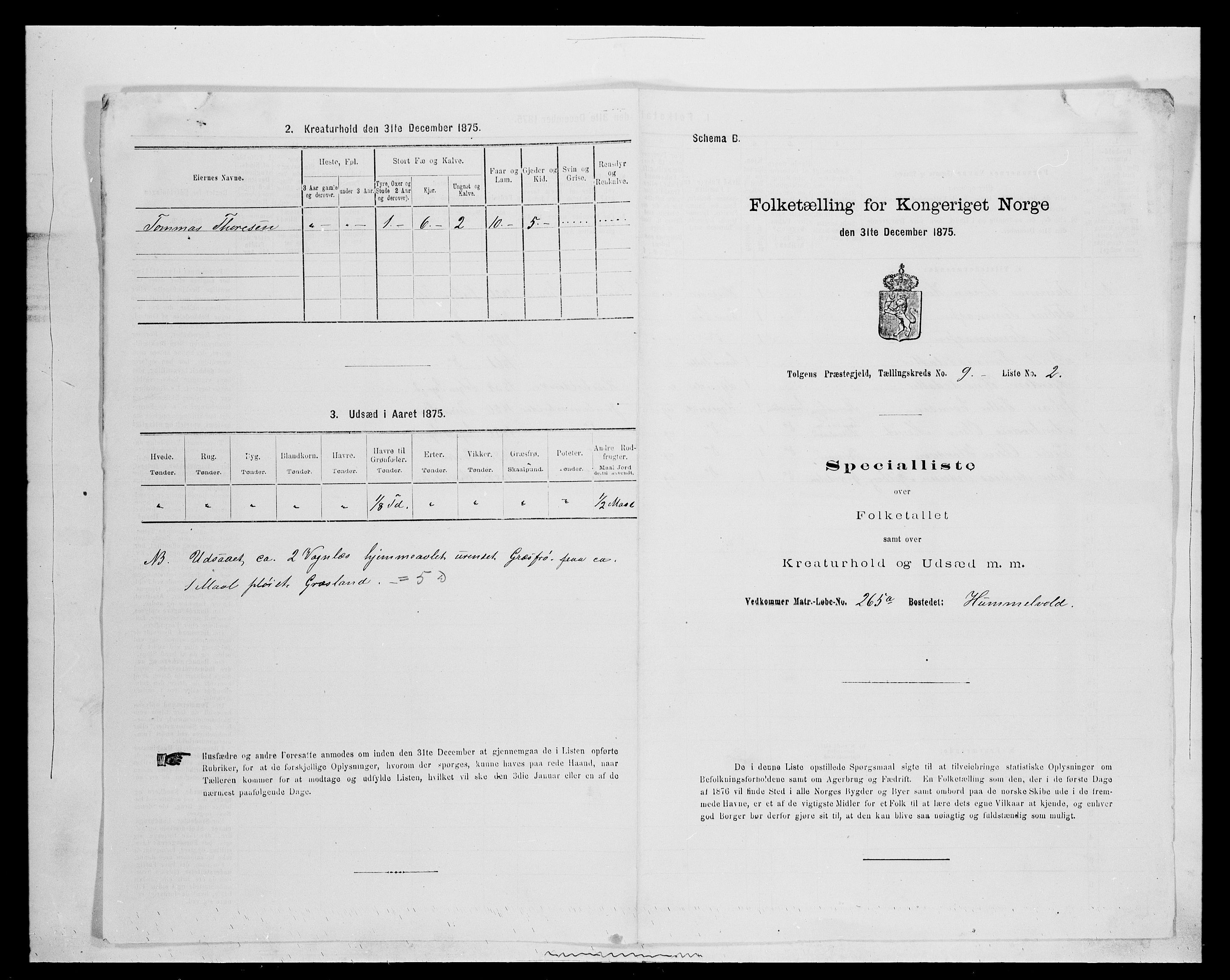 SAH, Folketelling 1875 for 0436P Tolga prestegjeld, 1875, s. 889