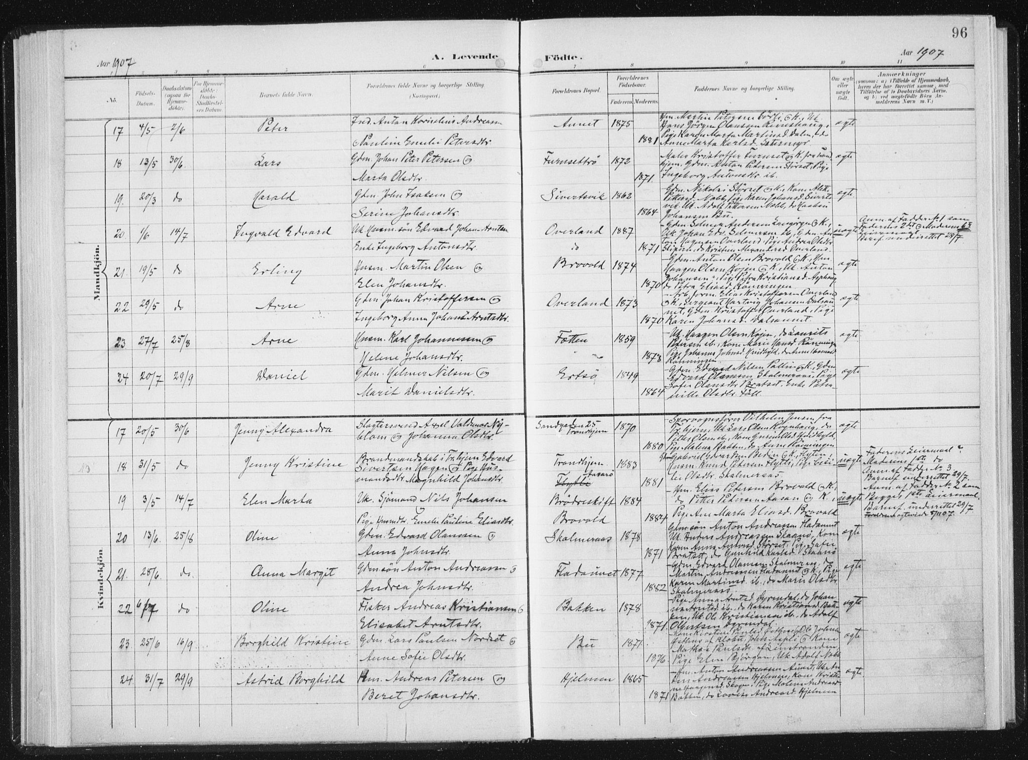Ministerialprotokoller, klokkerbøker og fødselsregistre - Sør-Trøndelag, SAT/A-1456/647/L0635: Ministerialbok nr. 647A02, 1896-1911, s. 96