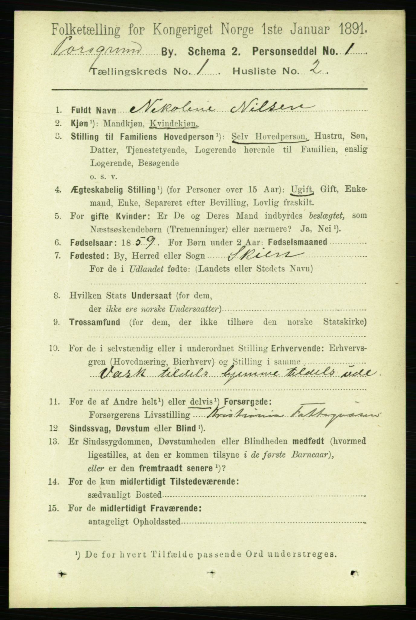 RA, Folketelling 1891 for 0805 Porsgrunn kjøpstad, 1891, s. 1280