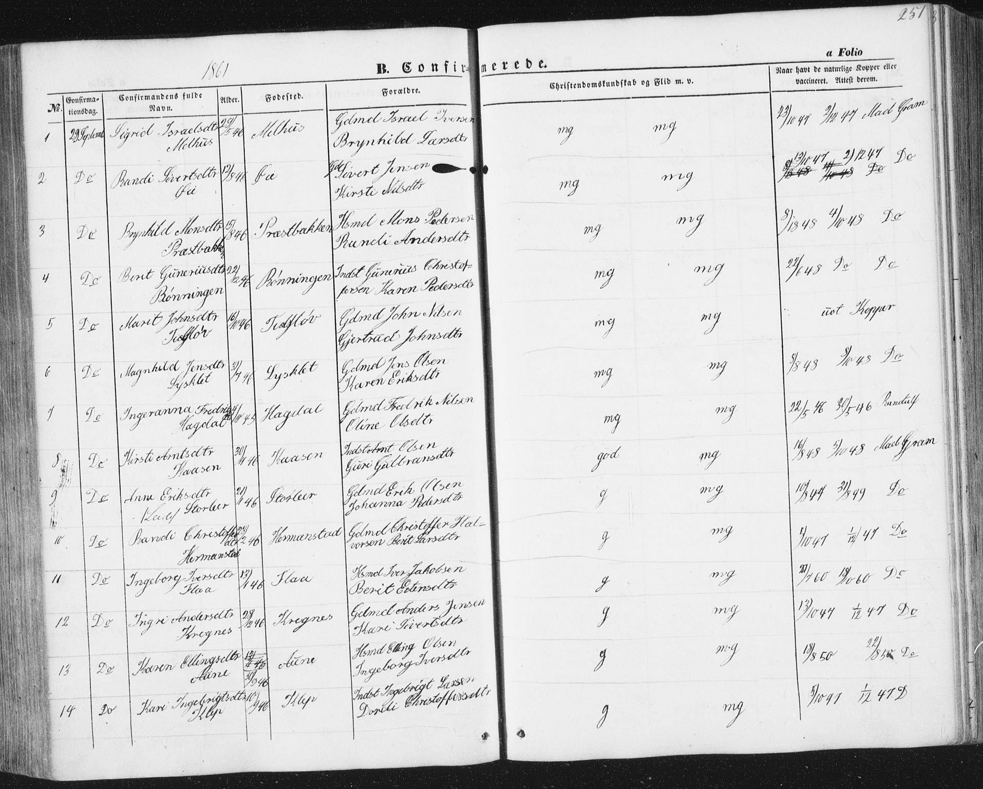Ministerialprotokoller, klokkerbøker og fødselsregistre - Sør-Trøndelag, SAT/A-1456/691/L1076: Ministerialbok nr. 691A08, 1852-1861, s. 251
