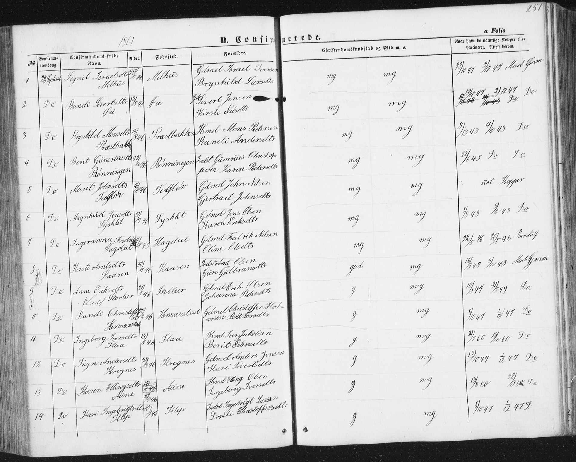 Ministerialprotokoller, klokkerbøker og fødselsregistre - Sør-Trøndelag, AV/SAT-A-1456/691/L1076: Ministerialbok nr. 691A08, 1852-1861, s. 251