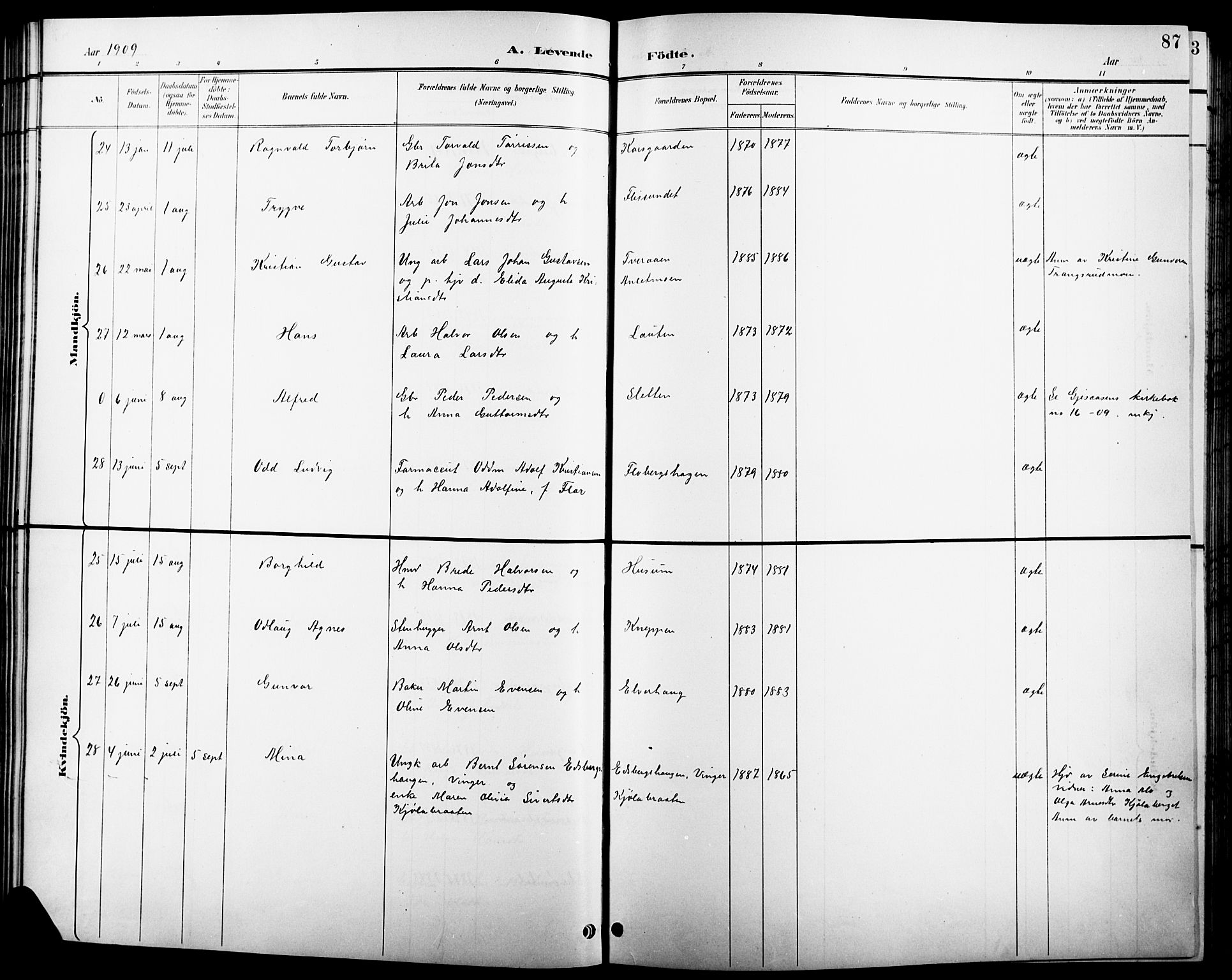 Åsnes prestekontor, AV/SAH-PREST-042/H/Ha/Hab/L0004: Klokkerbok nr. 4, 1895-1909, s. 87