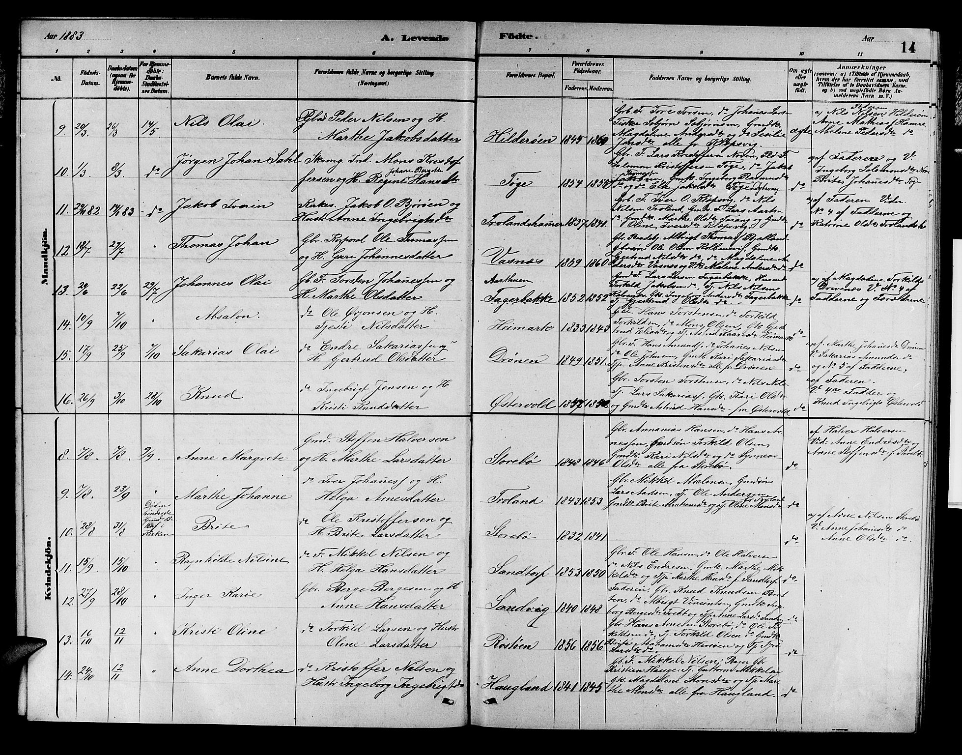 Austevoll sokneprestembete, AV/SAB-A-74201/H/Ha/Hab/Haba/L0002: Klokkerbok nr. A 2, 1880-1888, s. 14