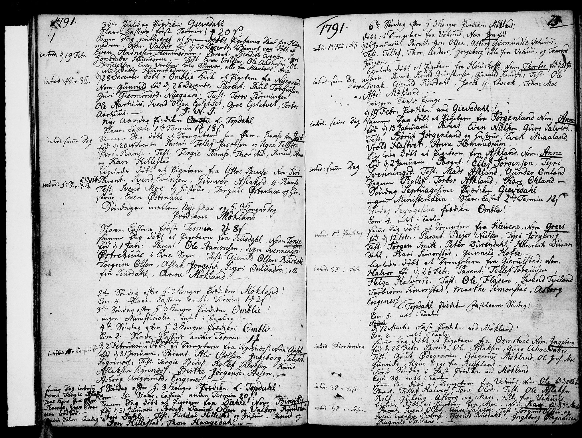 Åmli sokneprestkontor, AV/SAK-1111-0050/F/Fa/Fac/L0004: Ministerialbok nr. A 4, 1775-1796, s. 73