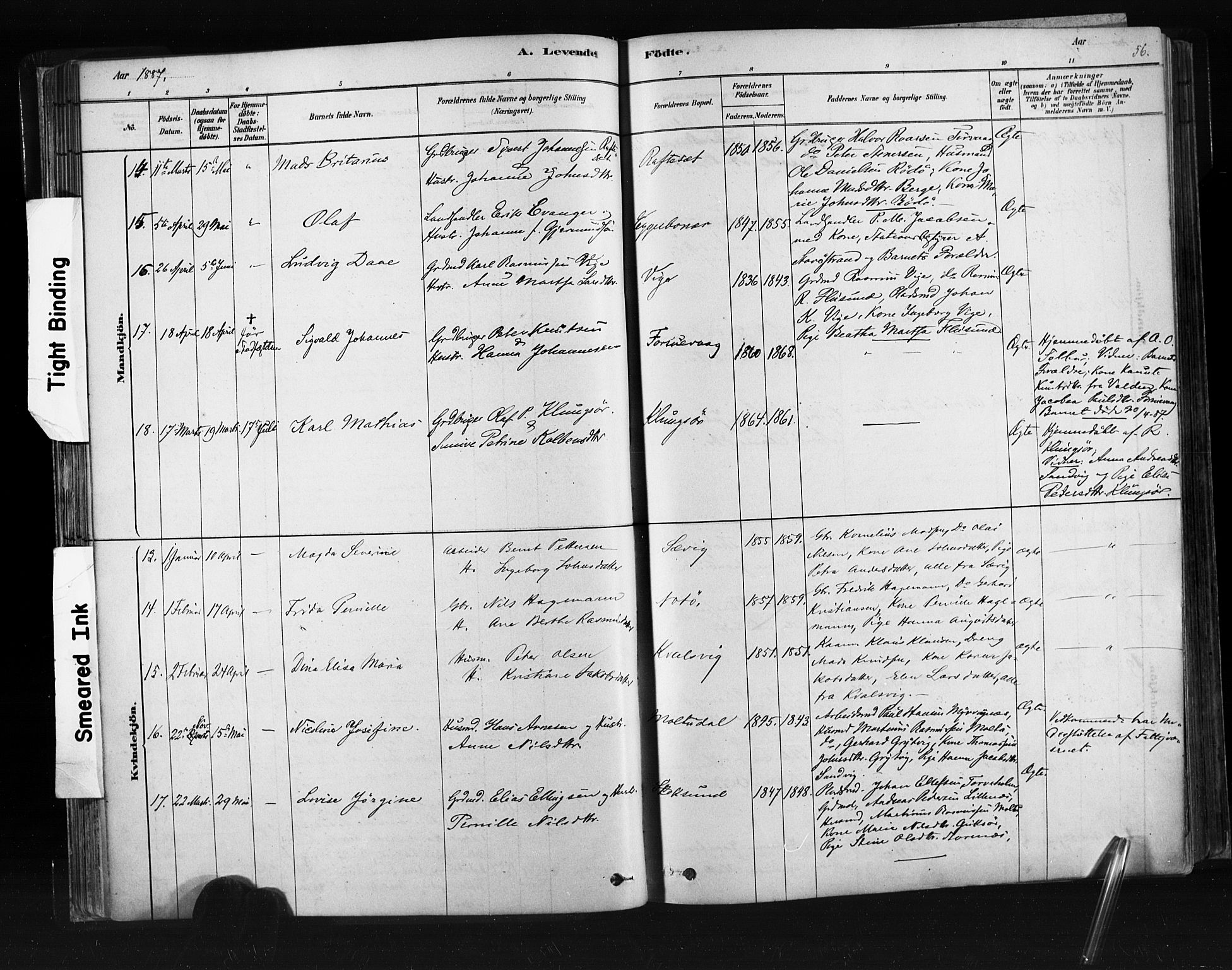 Ministerialprotokoller, klokkerbøker og fødselsregistre - Møre og Romsdal, AV/SAT-A-1454/507/L0073: Ministerialbok nr. 507A08, 1878-1904, s. 56