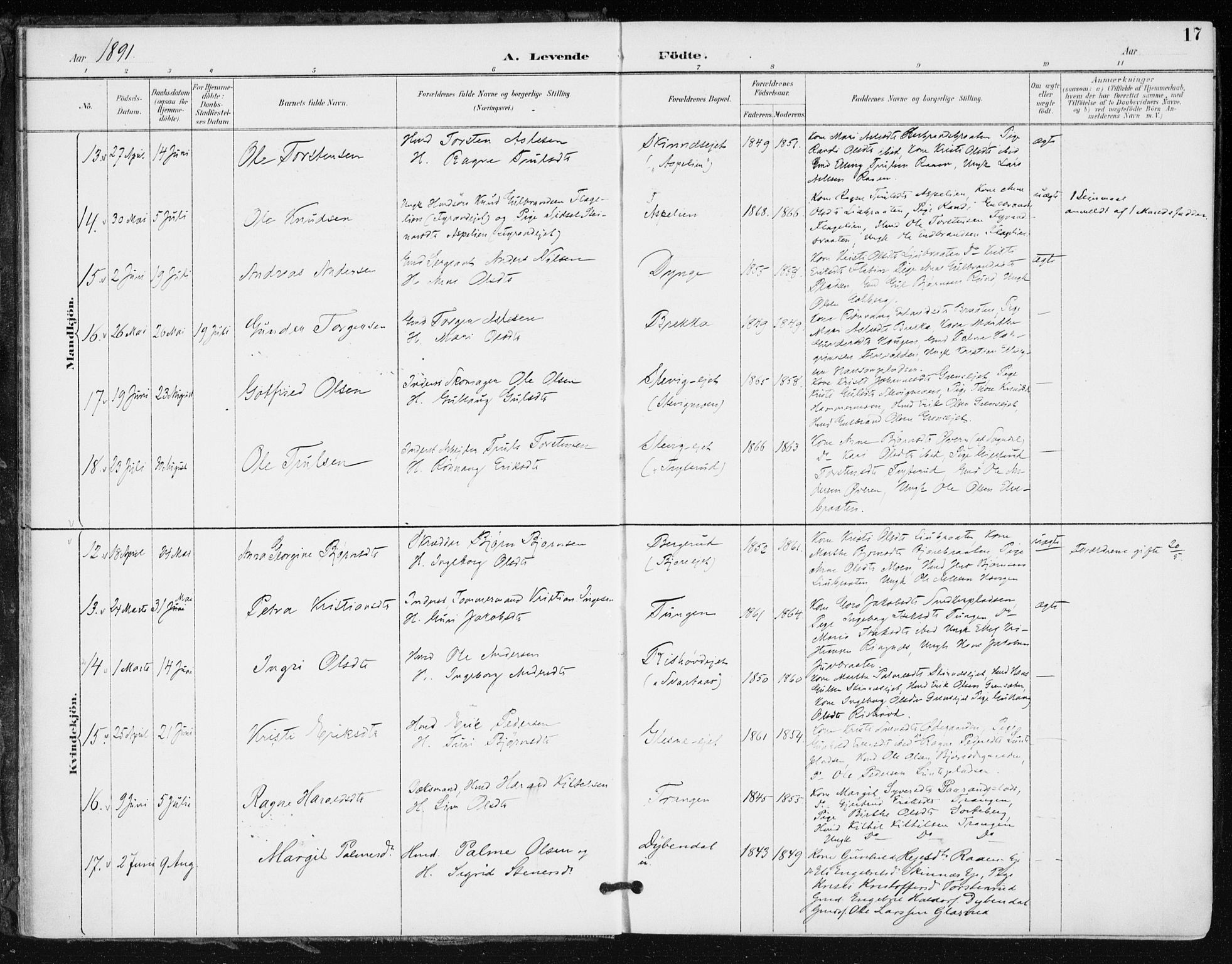 Krødsherad kirkebøker, AV/SAKO-A-19/F/Fa/L0006: Ministerialbok nr. 6, 1889-1899, s. 17