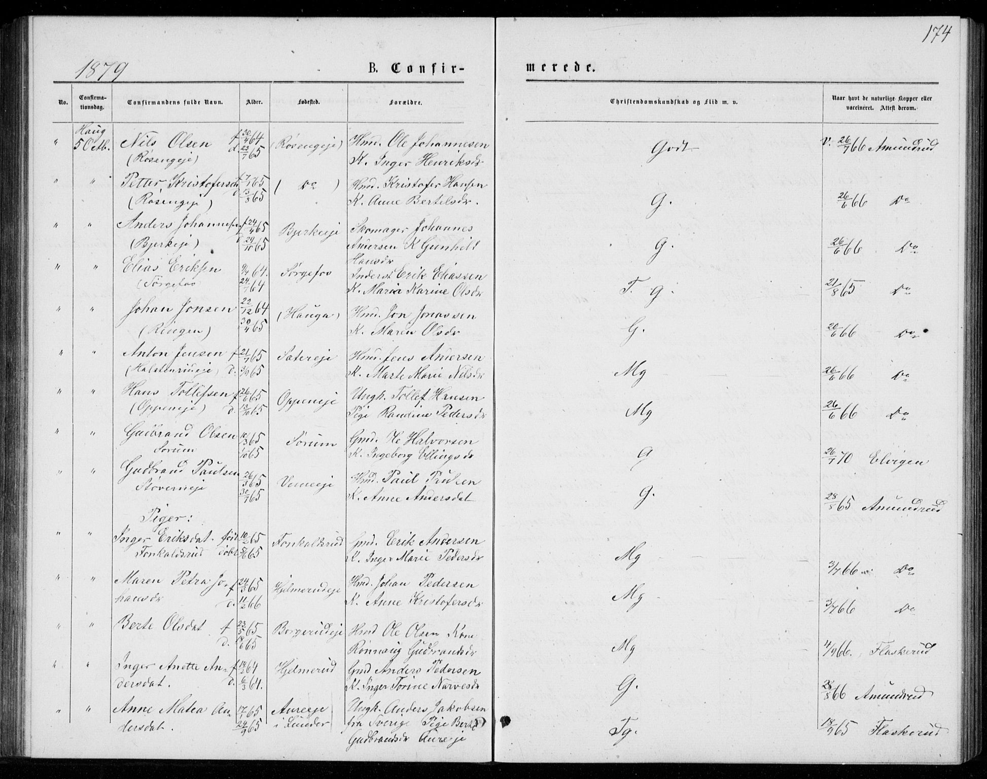 Norderhov kirkebøker, AV/SAKO-A-237/G/Ga/L0007: Klokkerbok nr. I 7, 1877-1887, s. 174