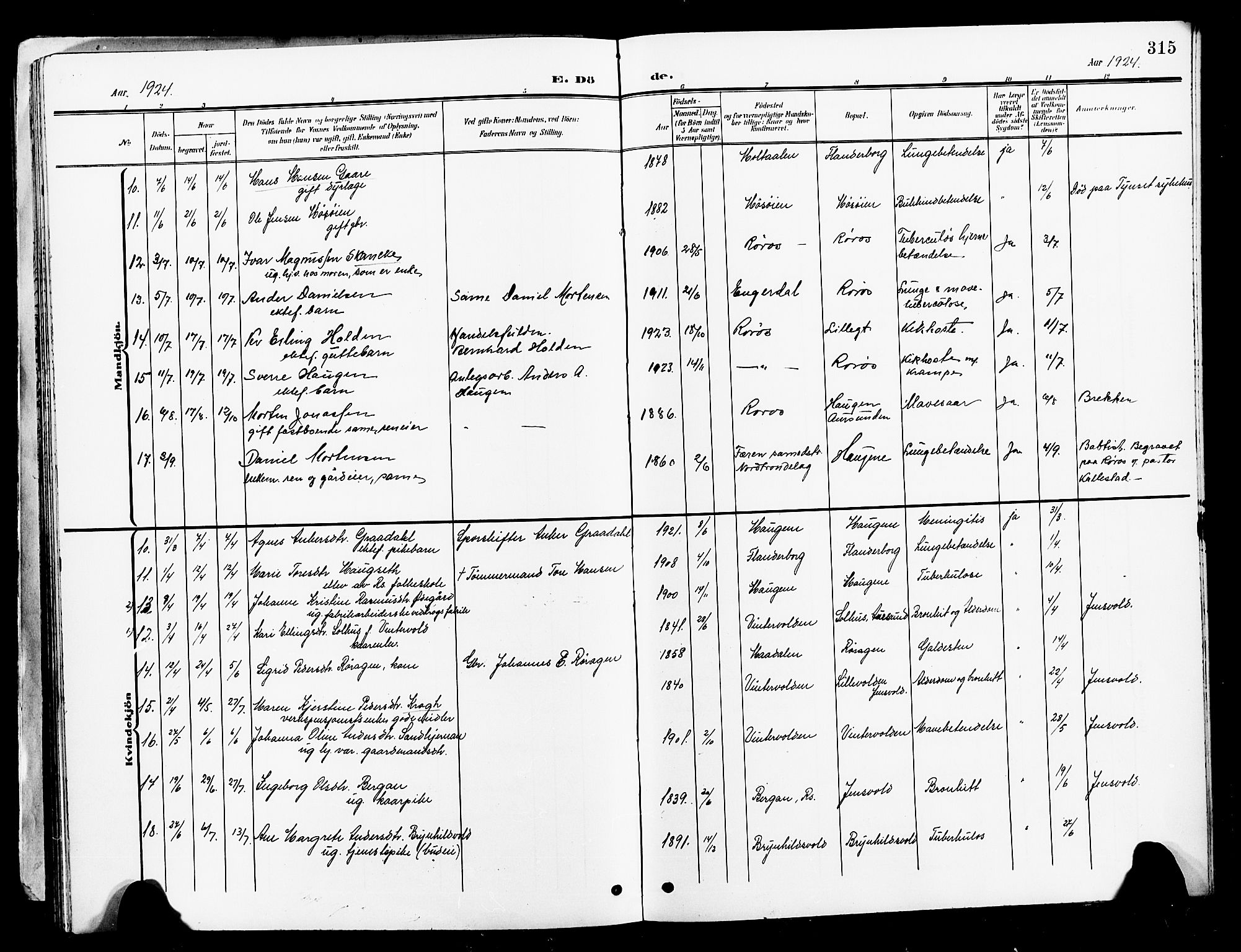 Ministerialprotokoller, klokkerbøker og fødselsregistre - Sør-Trøndelag, AV/SAT-A-1456/681/L0942: Klokkerbok nr. 681C06, 1906-1925, s. 315