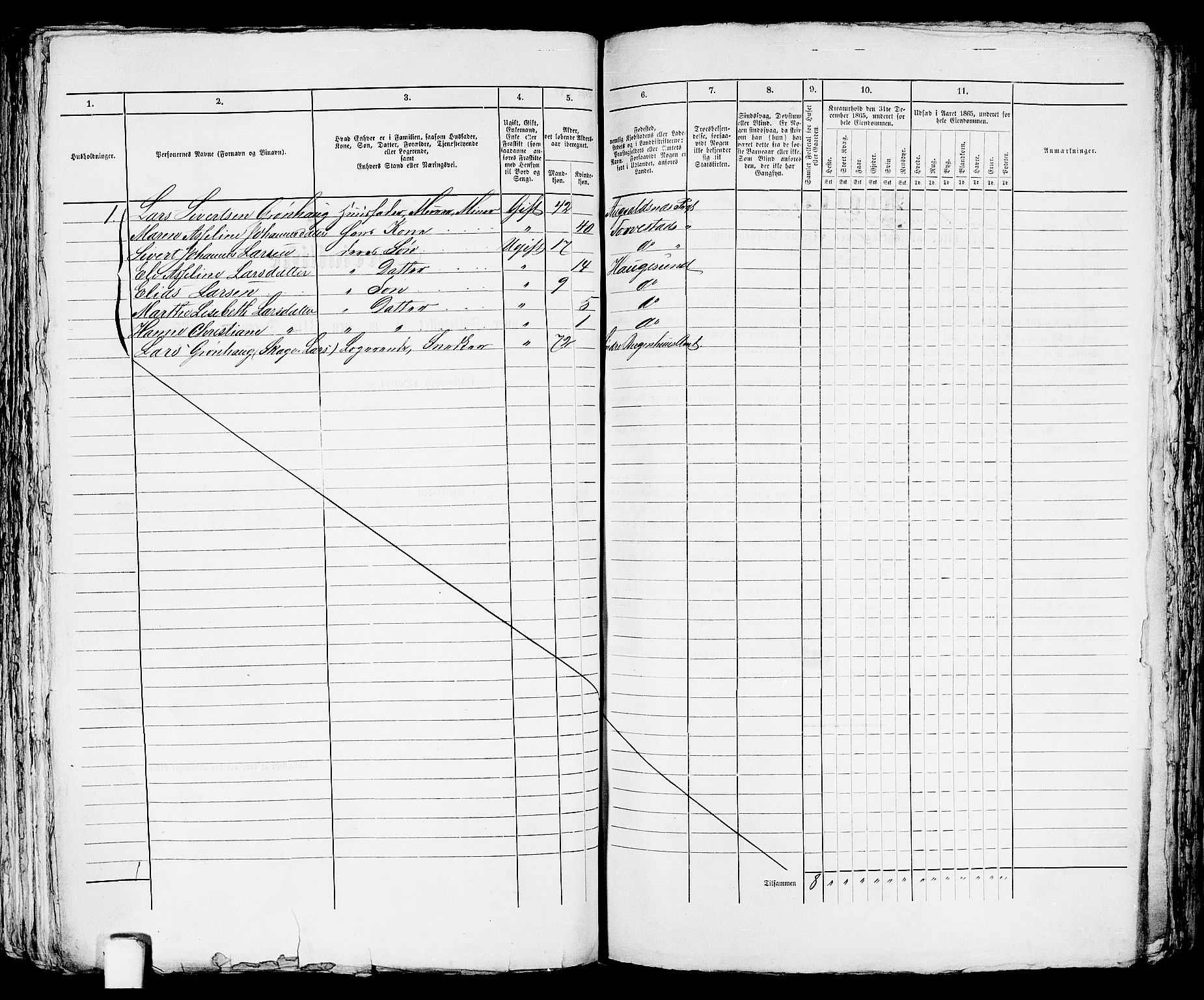 RA, Folketelling 1865 for 1106B Torvastad prestegjeld, Haugesund ladested, 1865, s. 377