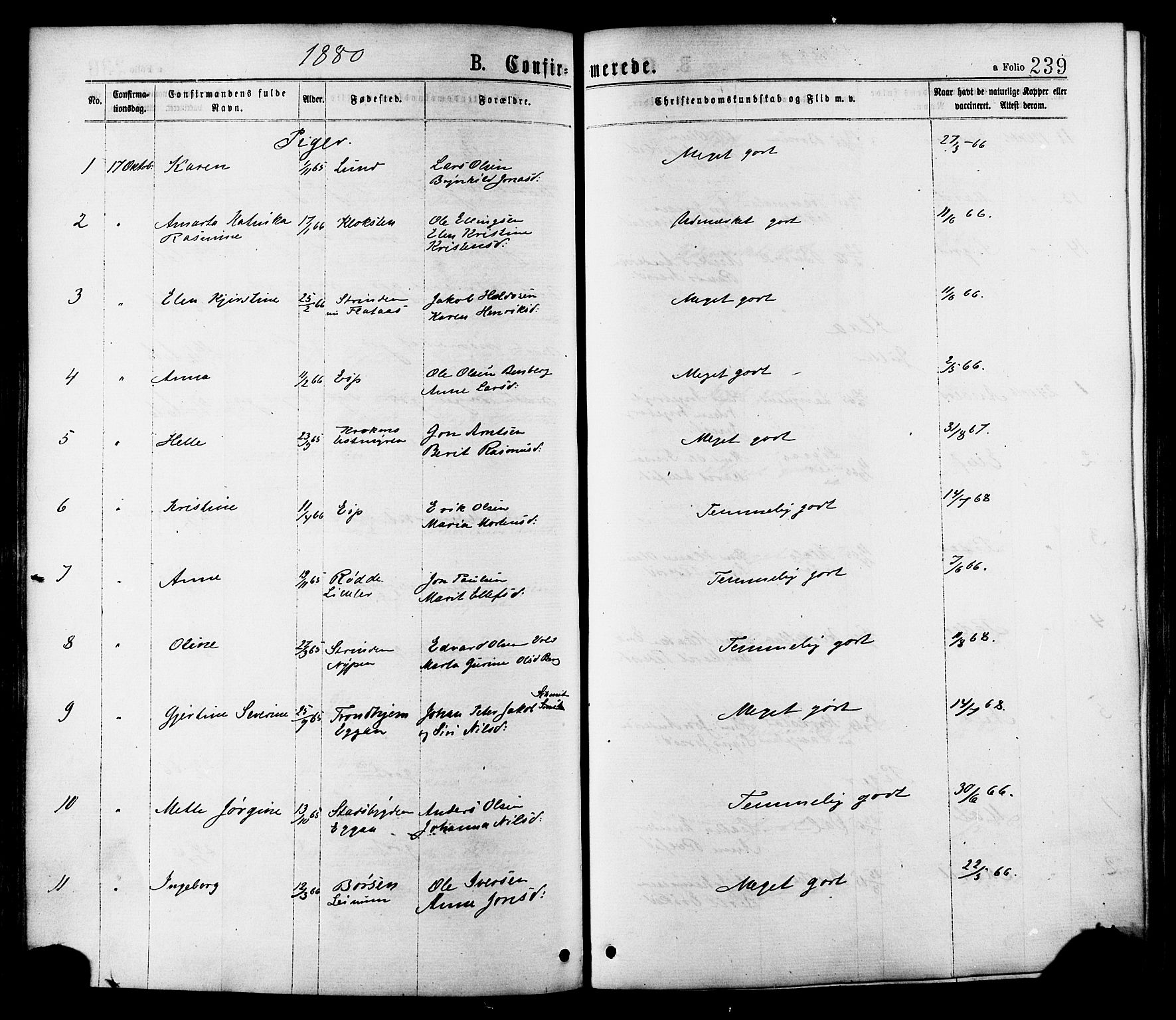 Ministerialprotokoller, klokkerbøker og fødselsregistre - Sør-Trøndelag, SAT/A-1456/691/L1079: Ministerialbok nr. 691A11, 1873-1886, s. 239