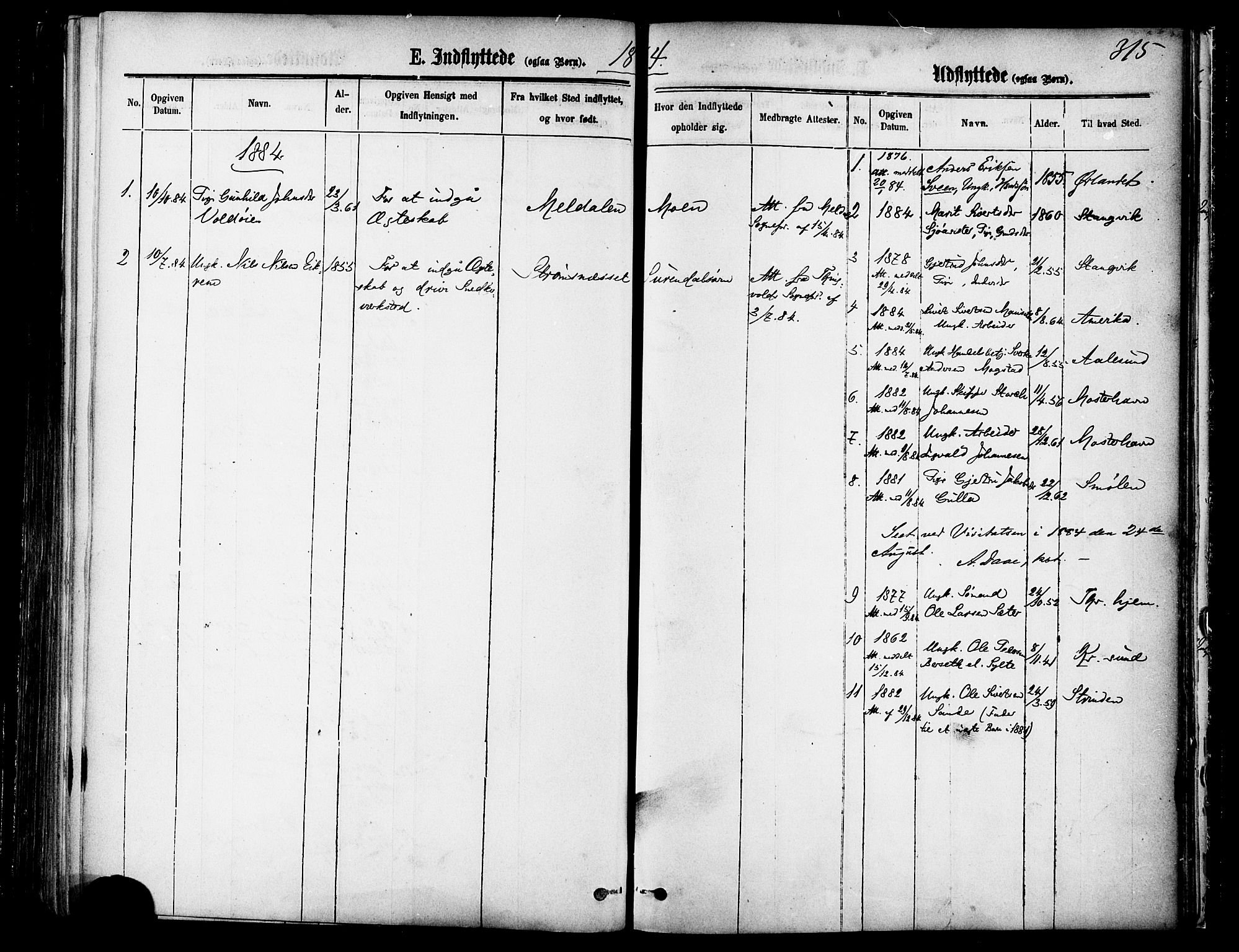 Ministerialprotokoller, klokkerbøker og fødselsregistre - Møre og Romsdal, SAT/A-1454/595/L1046: Ministerialbok nr. 595A08, 1874-1884, s. 315