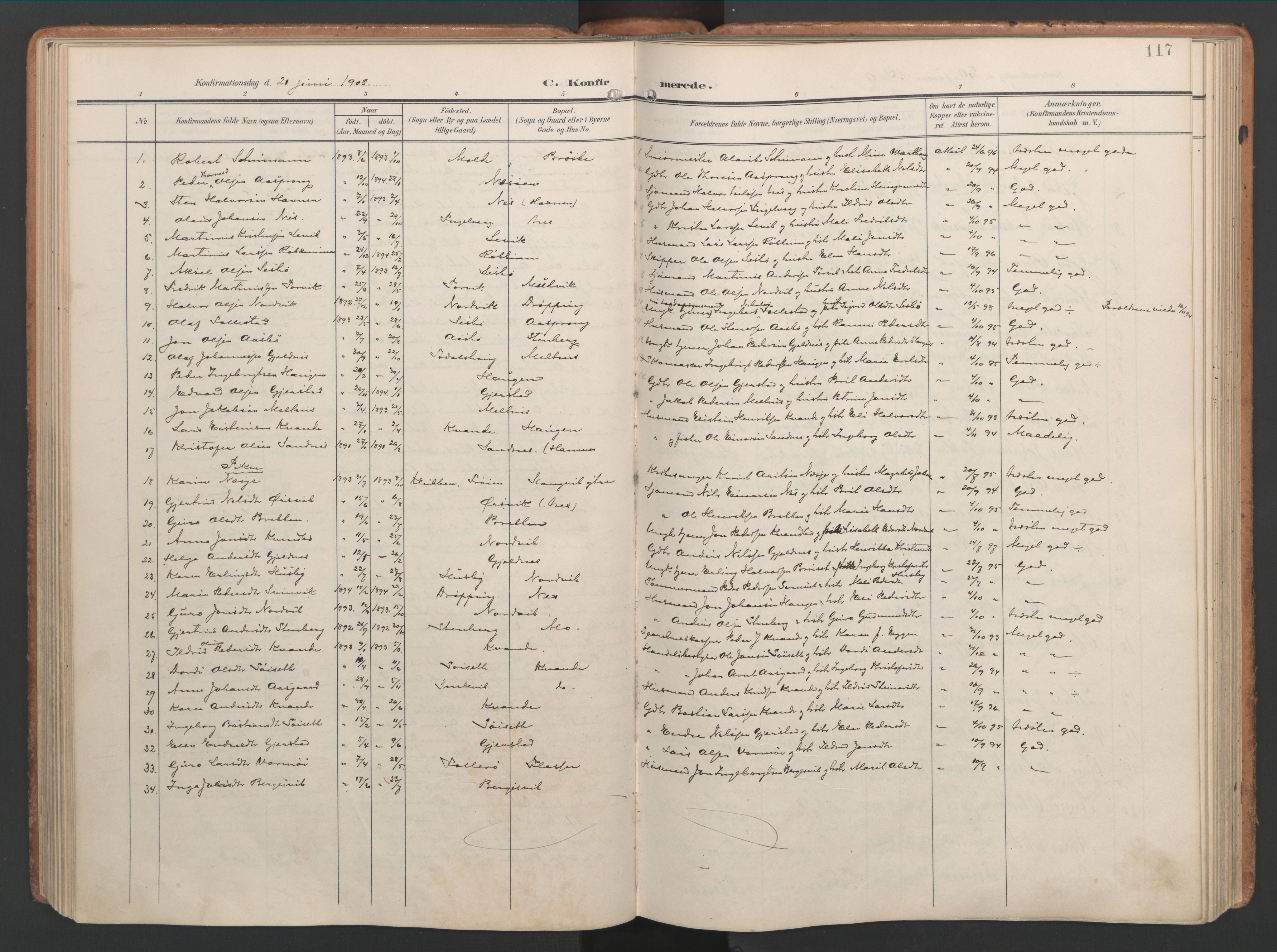 Ministerialprotokoller, klokkerbøker og fødselsregistre - Møre og Romsdal, AV/SAT-A-1454/592/L1030: Ministerialbok nr. 592A08, 1901-1925, s. 117