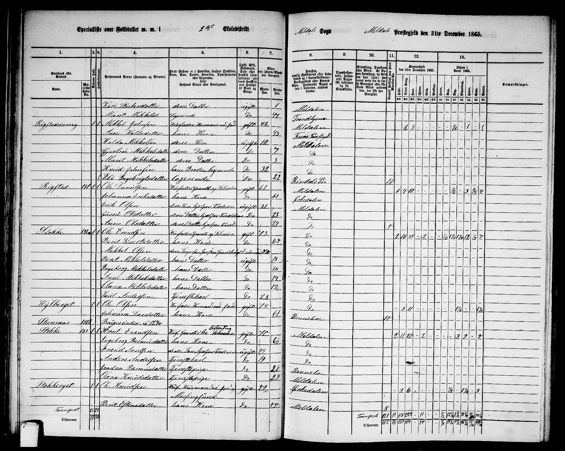 RA, Folketelling 1865 for 1636P Meldal prestegjeld, 1865, s. 41