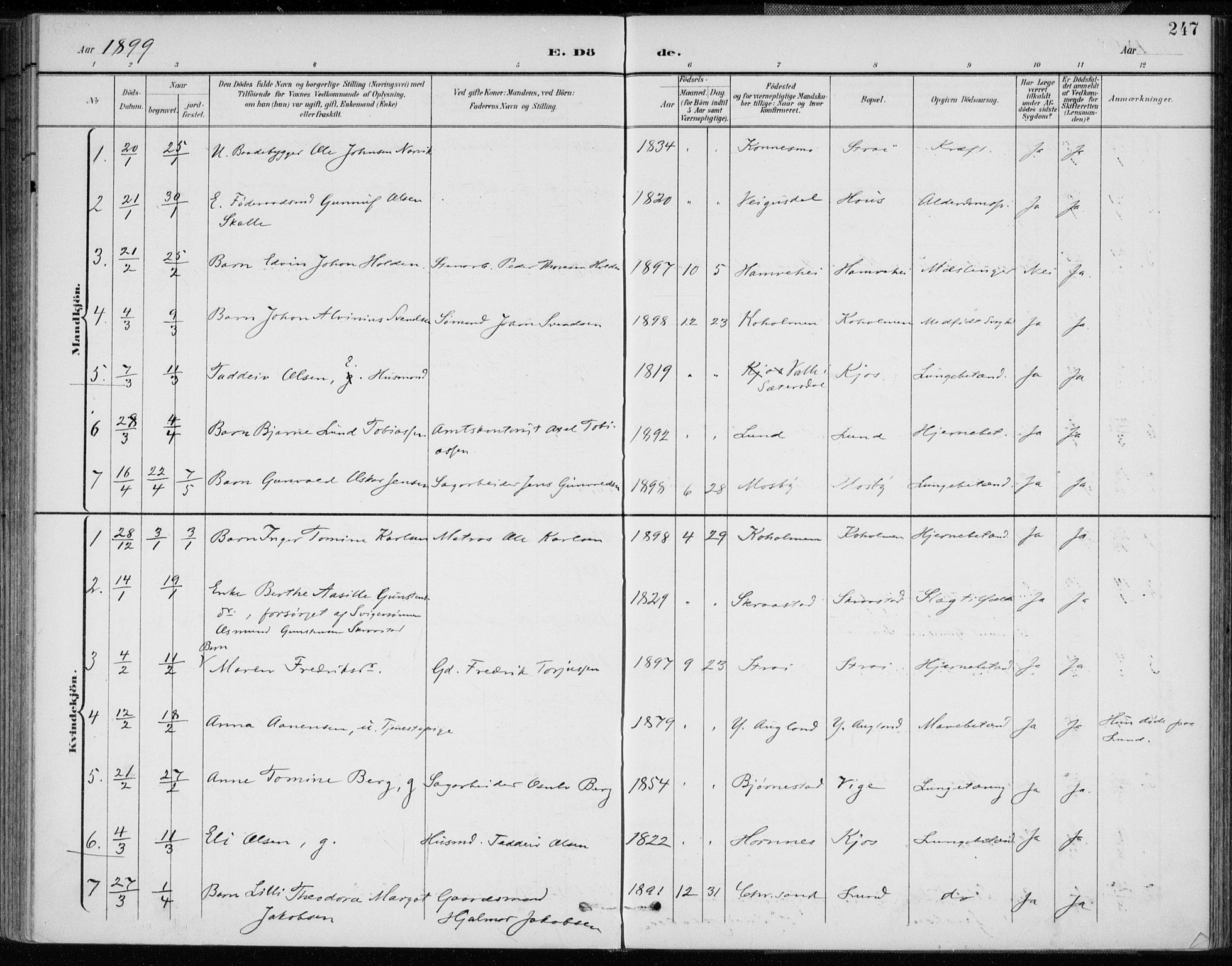 Oddernes sokneprestkontor, SAK/1111-0033/F/Fa/Faa/L0010: Ministerialbok nr. A 10, 1897-1911, s. 247