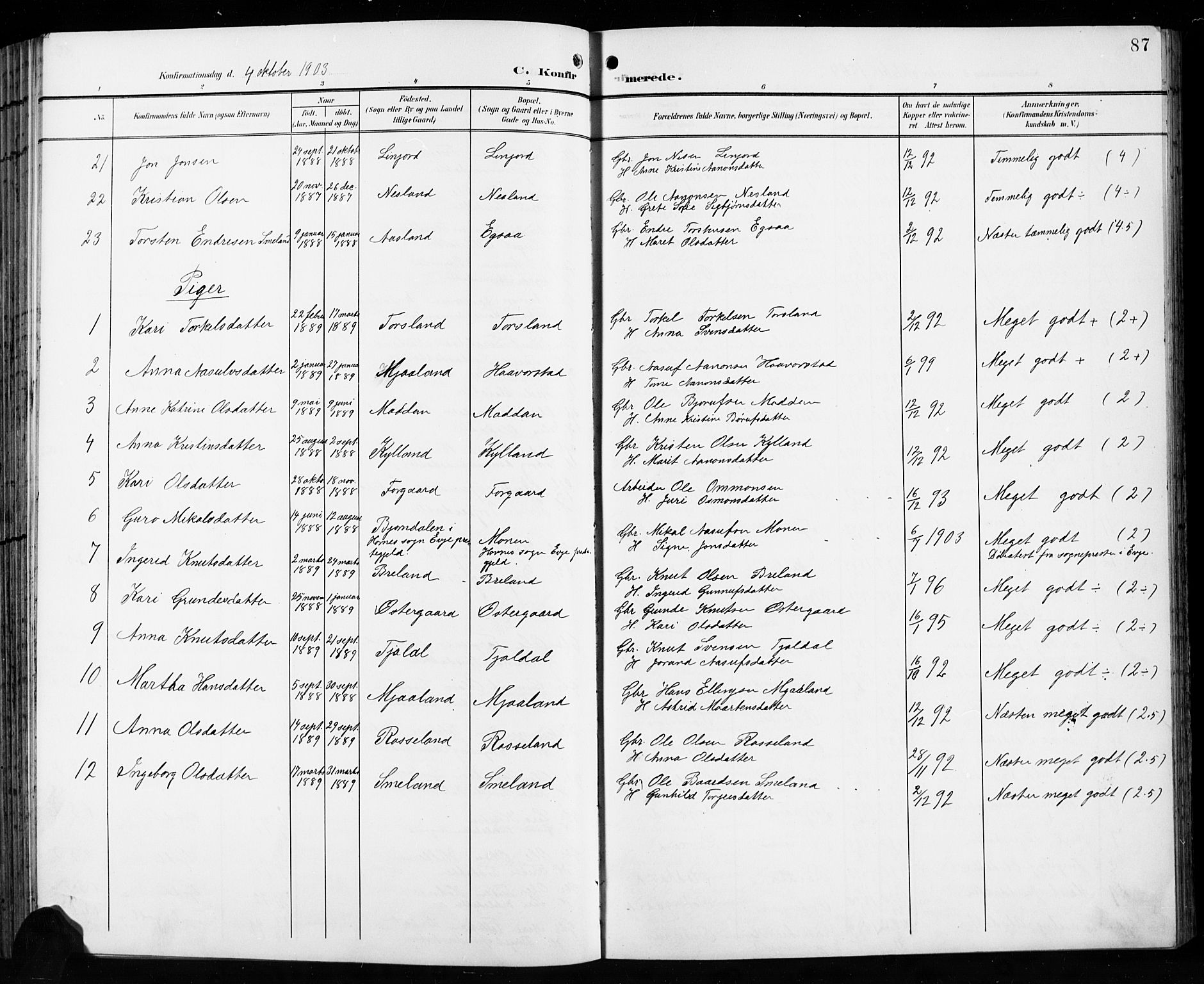 Åseral sokneprestkontor, AV/SAK-1111-0051/F/Fb/L0003: Klokkerbok nr. B 3, 1900-1919, s. 87