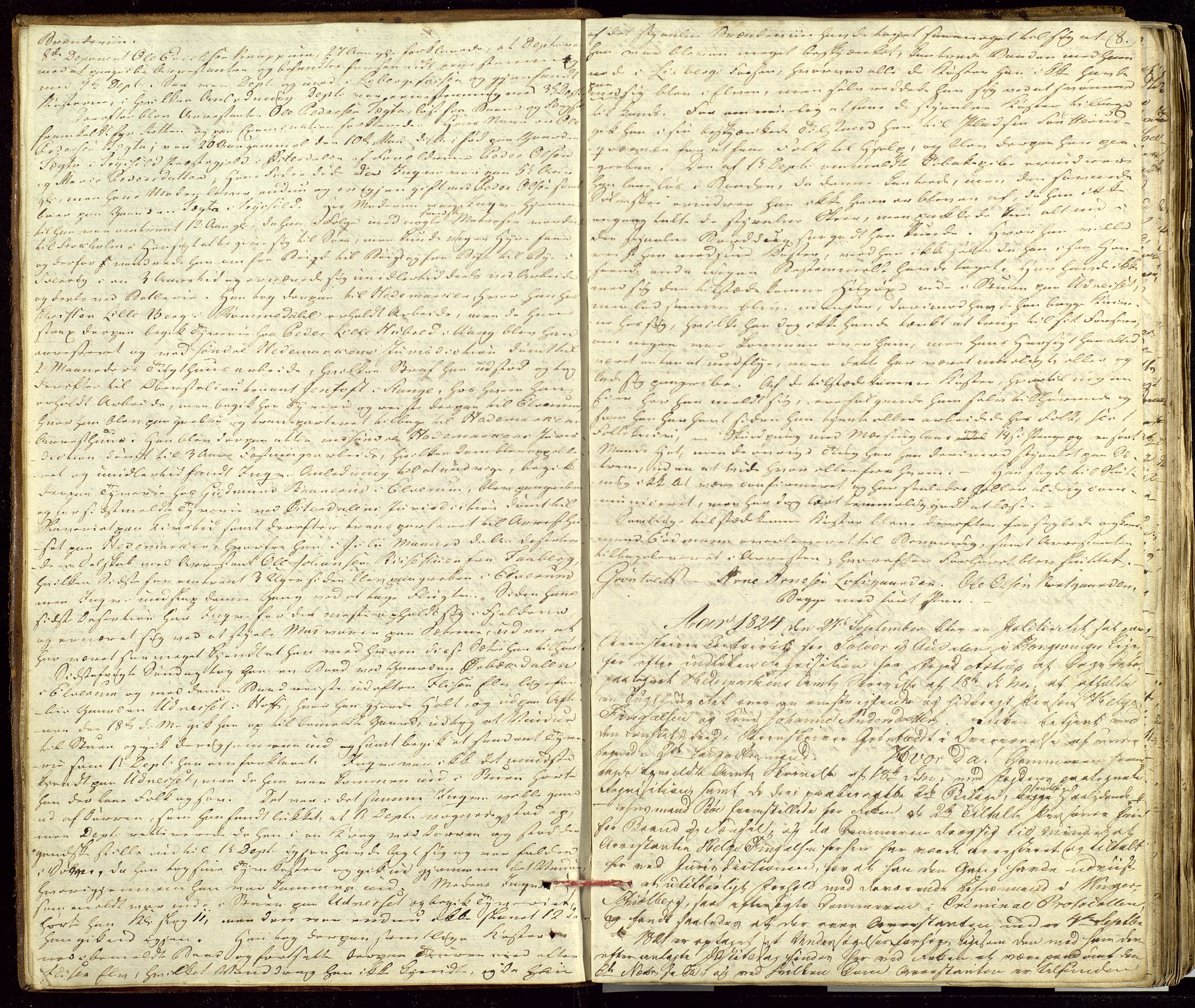 Solør og Odalen sorenskriveri, AV/SAH-TING-026/G/Gc/Gca/L0014: Justis- og politisaker, 1824-1827, s. 8