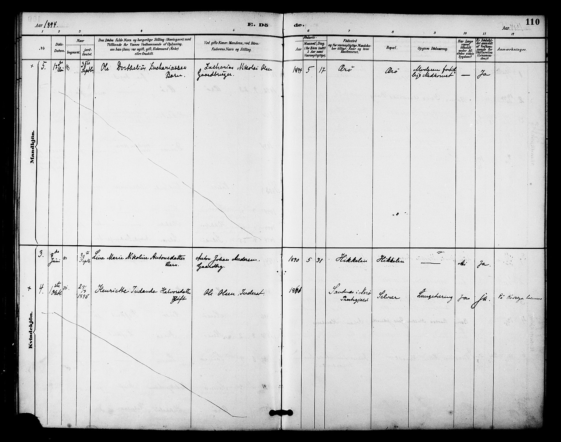 Ministerialprotokoller, klokkerbøker og fødselsregistre - Nordland, AV/SAT-A-1459/840/L0580: Ministerialbok nr. 840A02, 1887-1909, s. 110