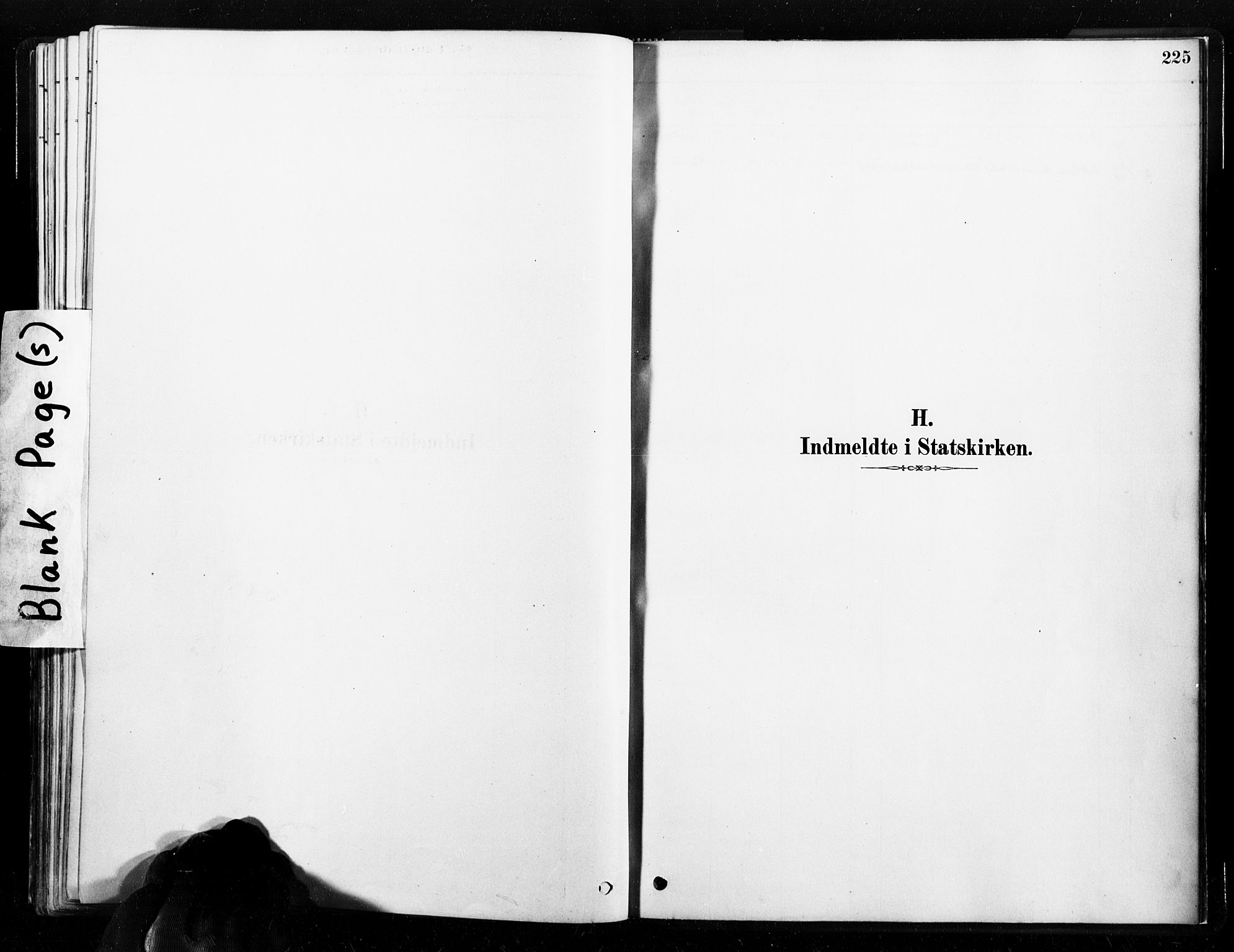 Ministerialprotokoller, klokkerbøker og fødselsregistre - Nord-Trøndelag, AV/SAT-A-1458/789/L0705: Ministerialbok nr. 789A01, 1878-1910, s. 225