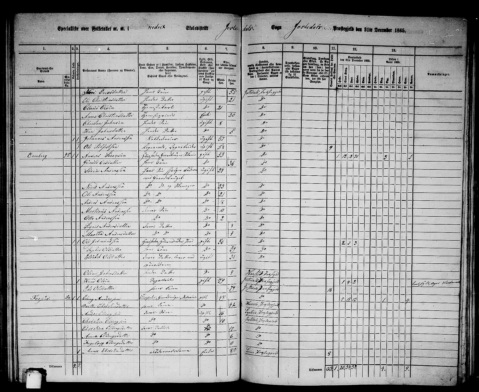 RA, Folketelling 1865 for 1427P Jostedal prestegjeld, 1865, s. 16
