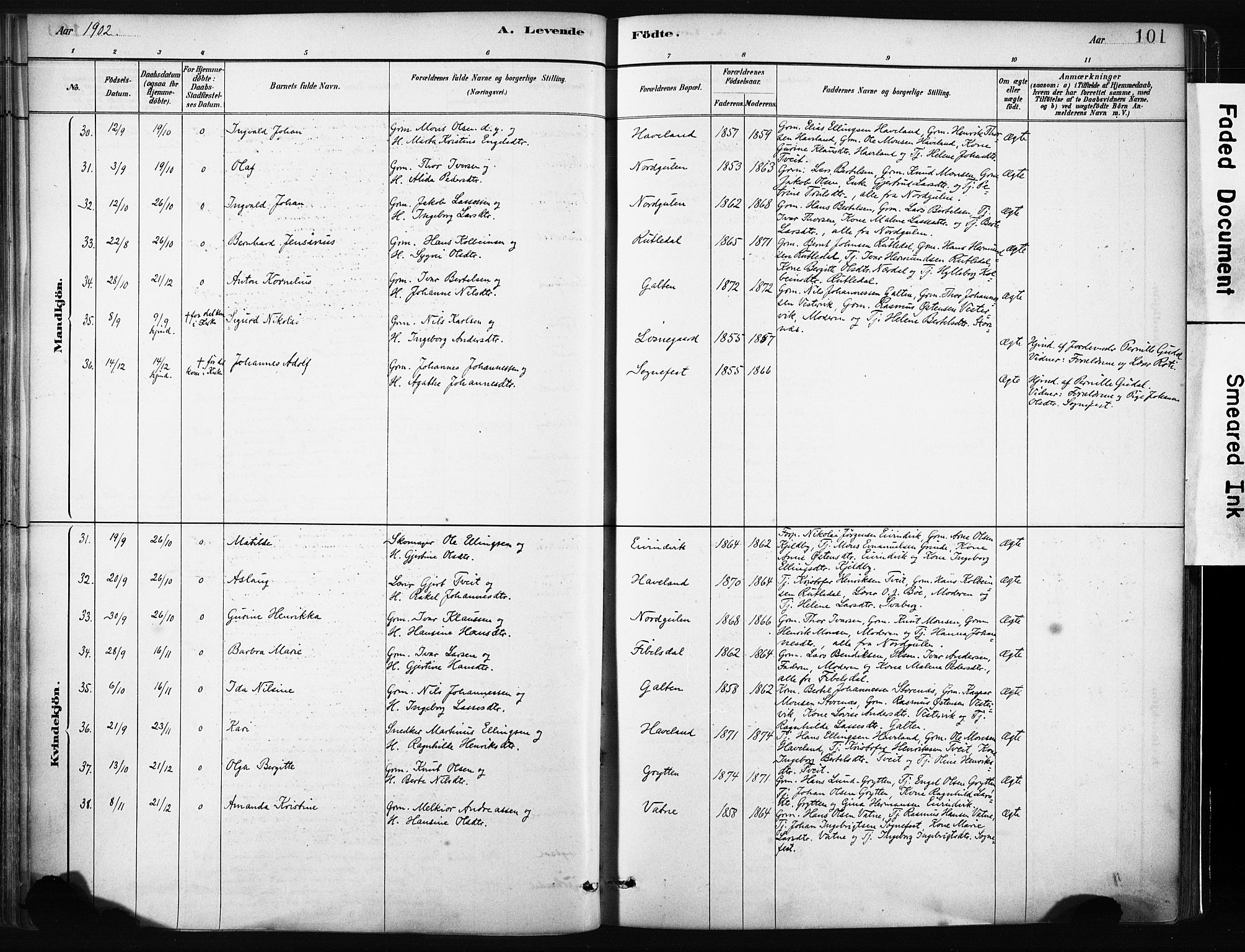 Gulen sokneprestembete, AV/SAB-A-80201/H/Haa/Haab/L0001: Ministerialbok nr. B 1, 1881-1905, s. 101