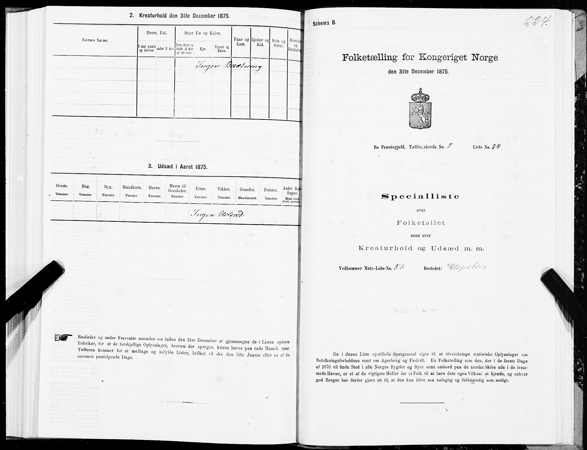 SAT, Folketelling 1875 for 1867P Bø prestegjeld, 1875, s. 1224