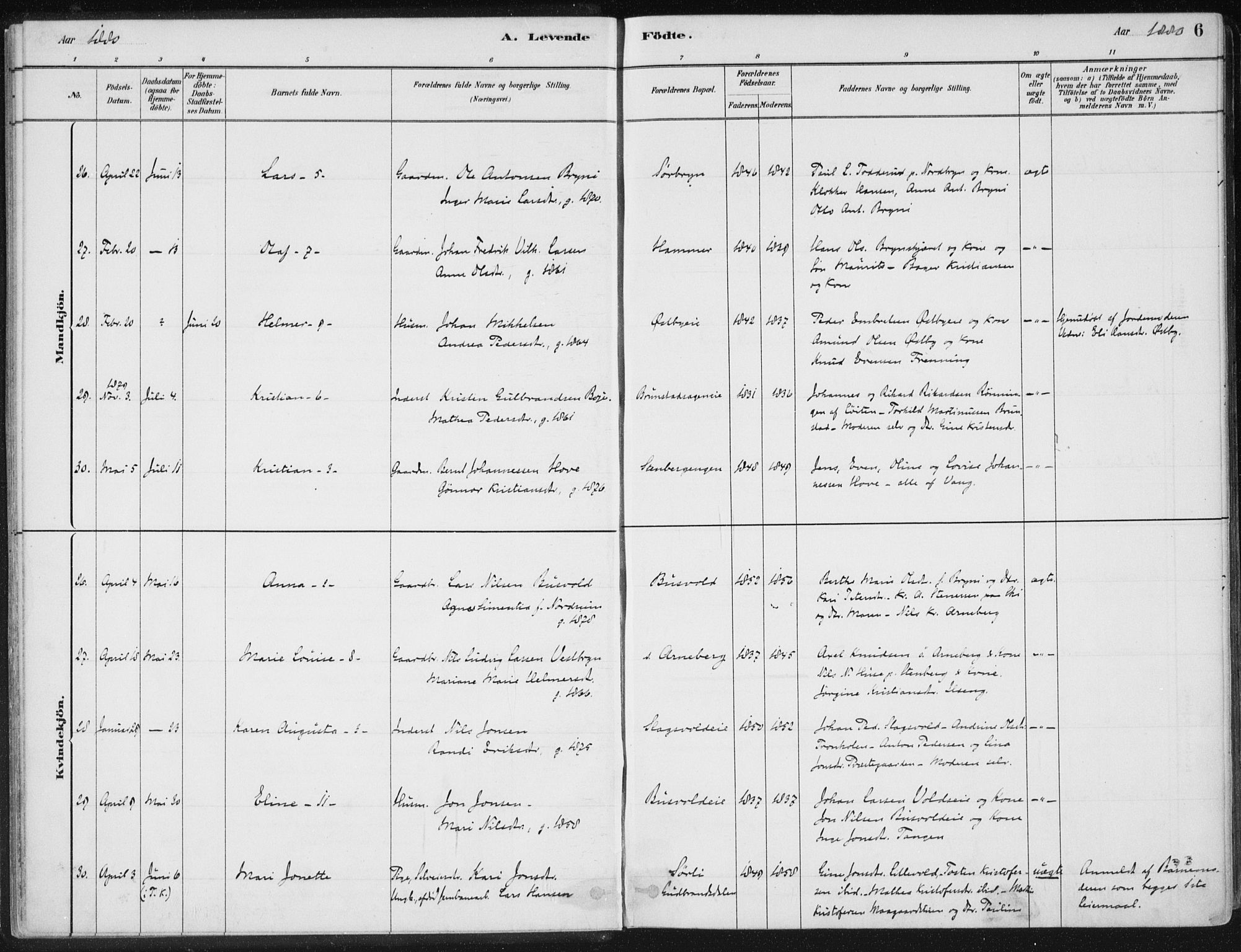 Romedal prestekontor, AV/SAH-PREST-004/K/L0010: Ministerialbok nr. 10, 1880-1895, s. 6