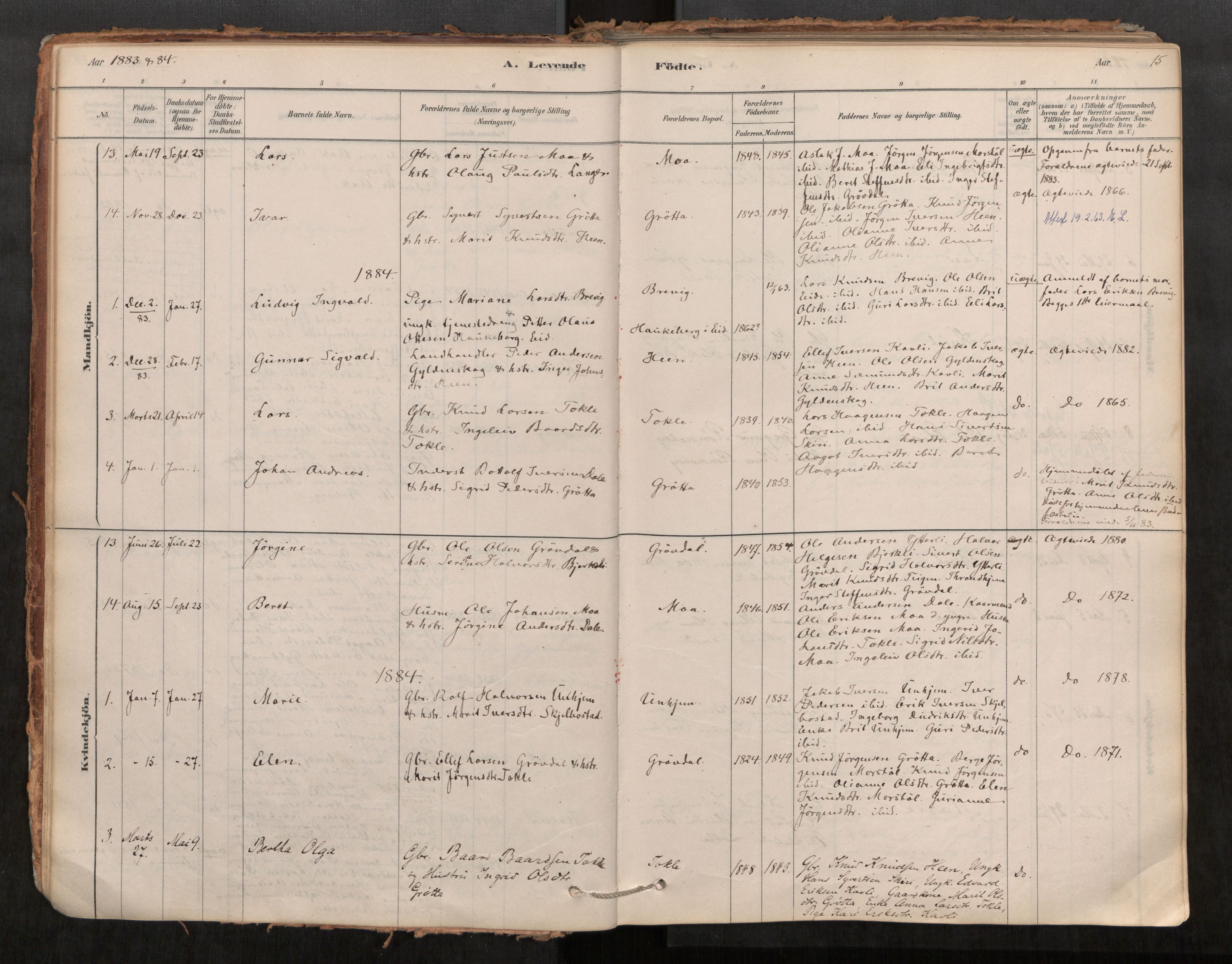 Ministerialprotokoller, klokkerbøker og fødselsregistre - Møre og Romsdal, AV/SAT-A-1454/545/L0594: Ministerialbok nr. 545A03, 1878-1920, s. 15