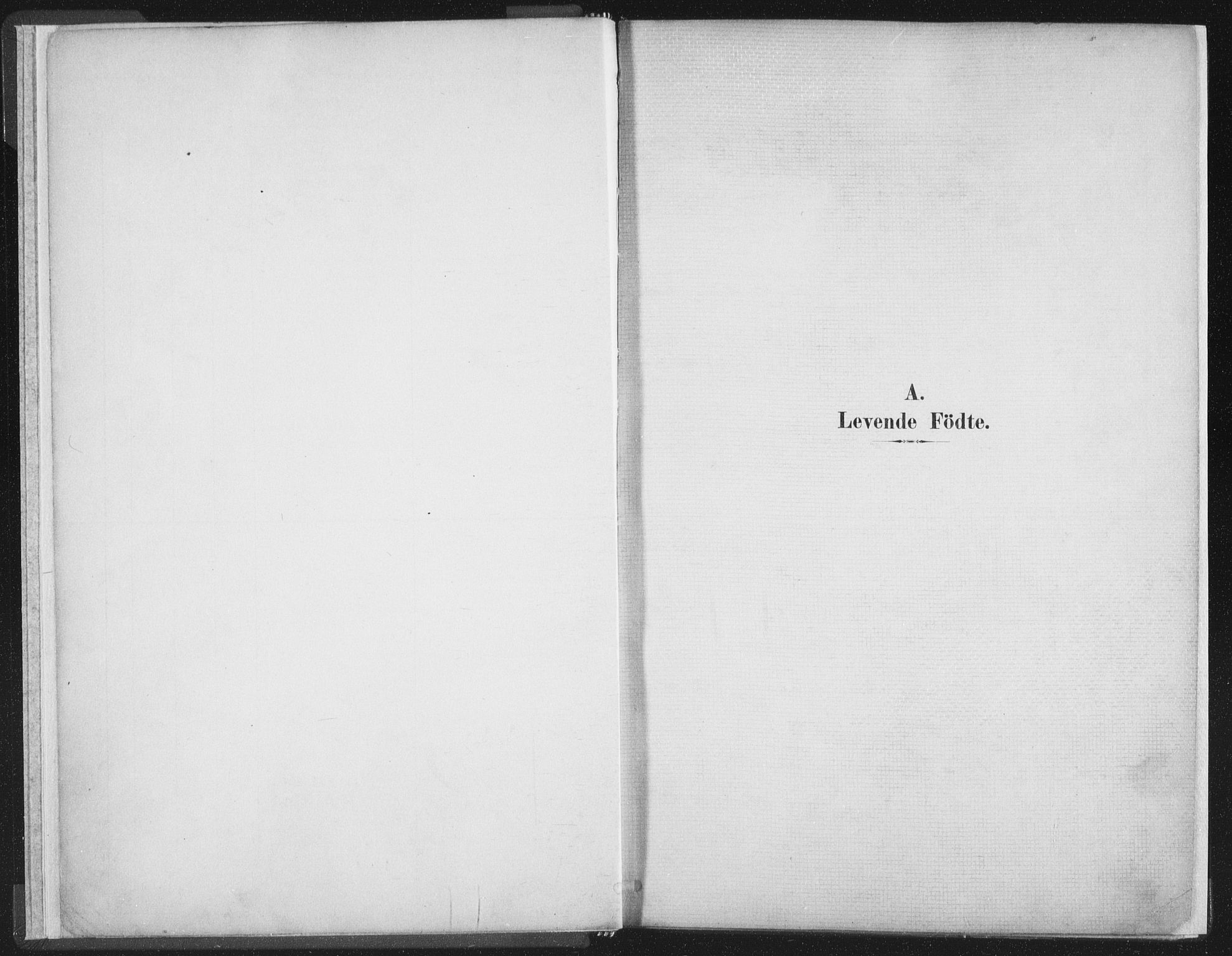 Ministerialprotokoller, klokkerbøker og fødselsregistre - Nordland, AV/SAT-A-1459/890/L1286: Ministerialbok nr. 890A01, 1882-1902