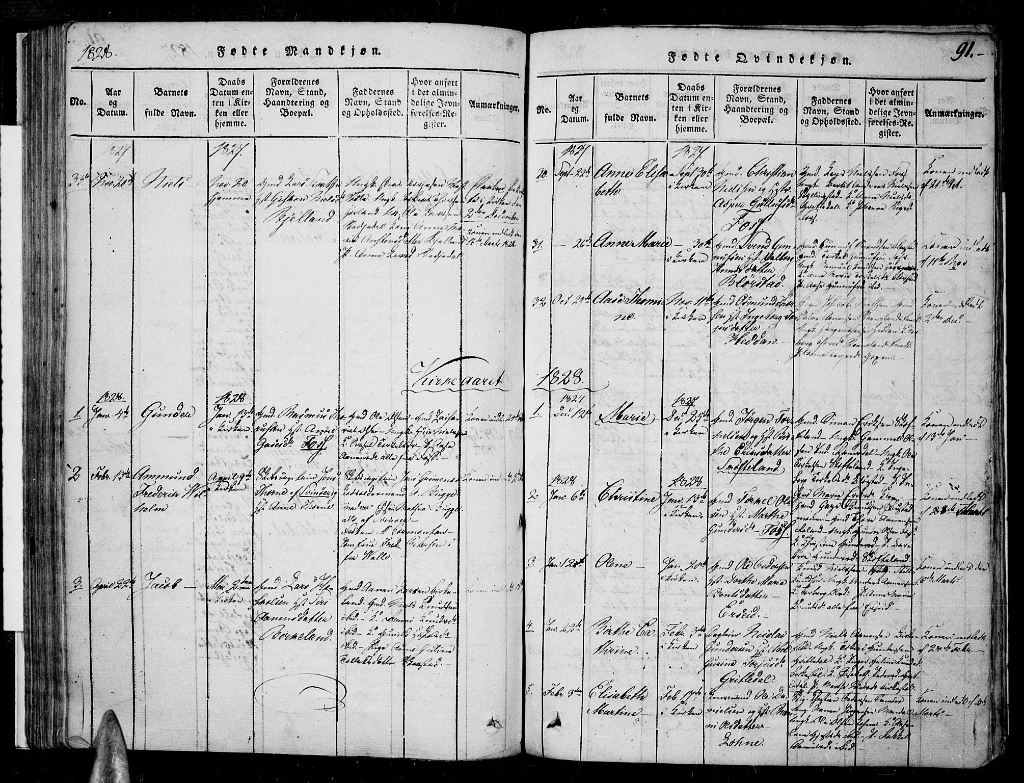 Sør-Audnedal sokneprestkontor, AV/SAK-1111-0039/F/Fa/Fab/L0005: Ministerialbok nr. A 5, 1816-1830, s. 91