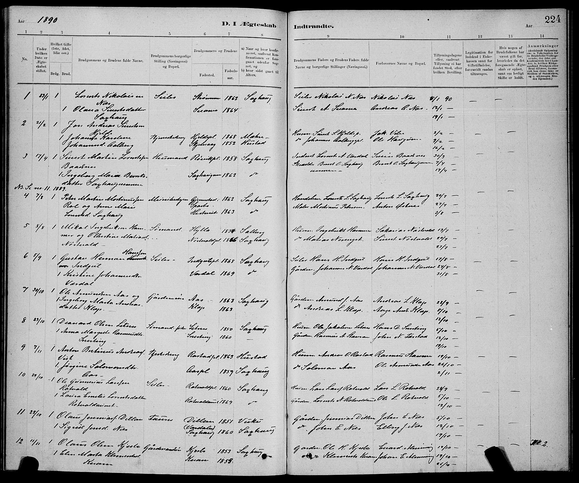 Ministerialprotokoller, klokkerbøker og fødselsregistre - Nord-Trøndelag, AV/SAT-A-1458/730/L0301: Klokkerbok nr. 730C04, 1880-1897, s. 224