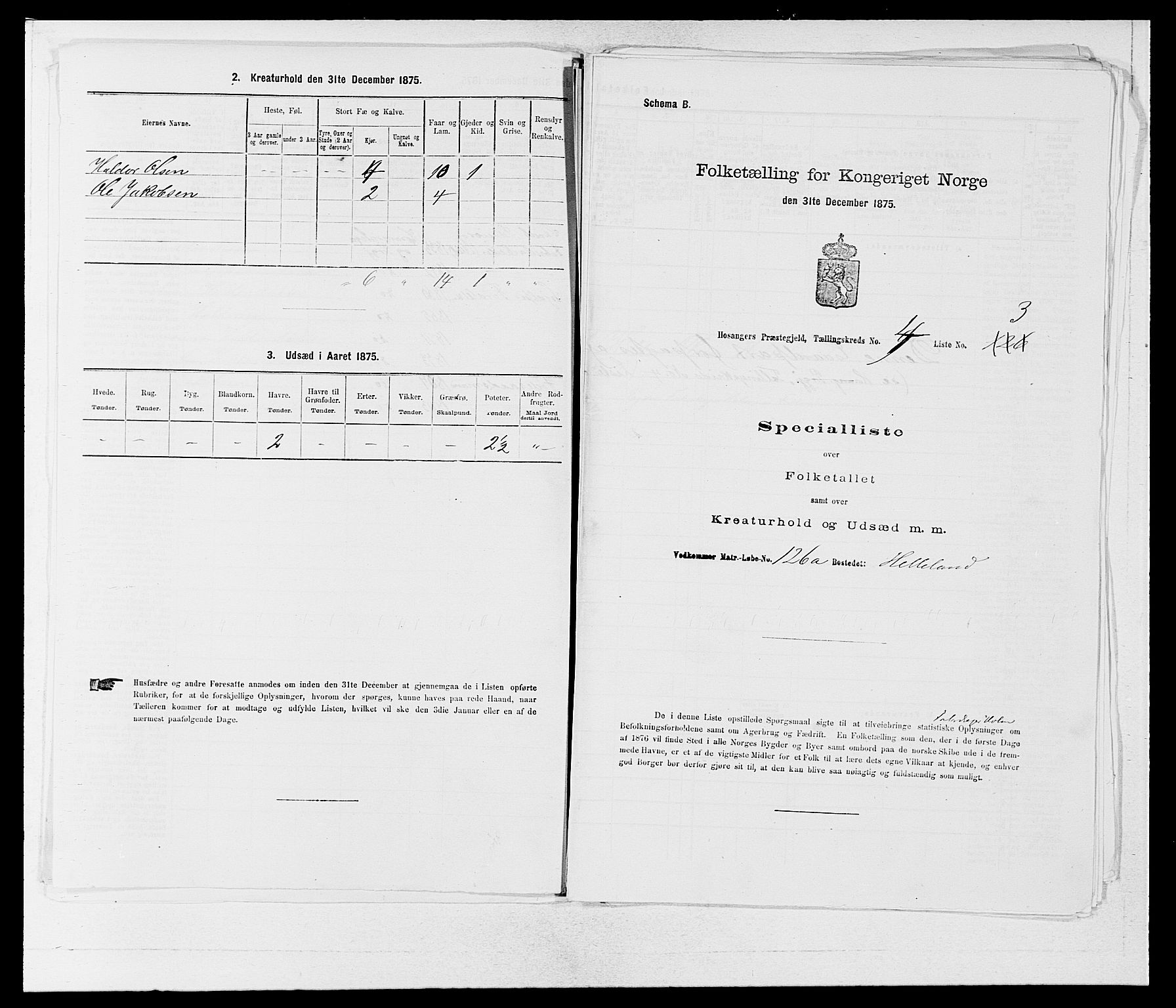 SAB, Folketelling 1875 for 1253P Hosanger prestegjeld, 1875, s. 363