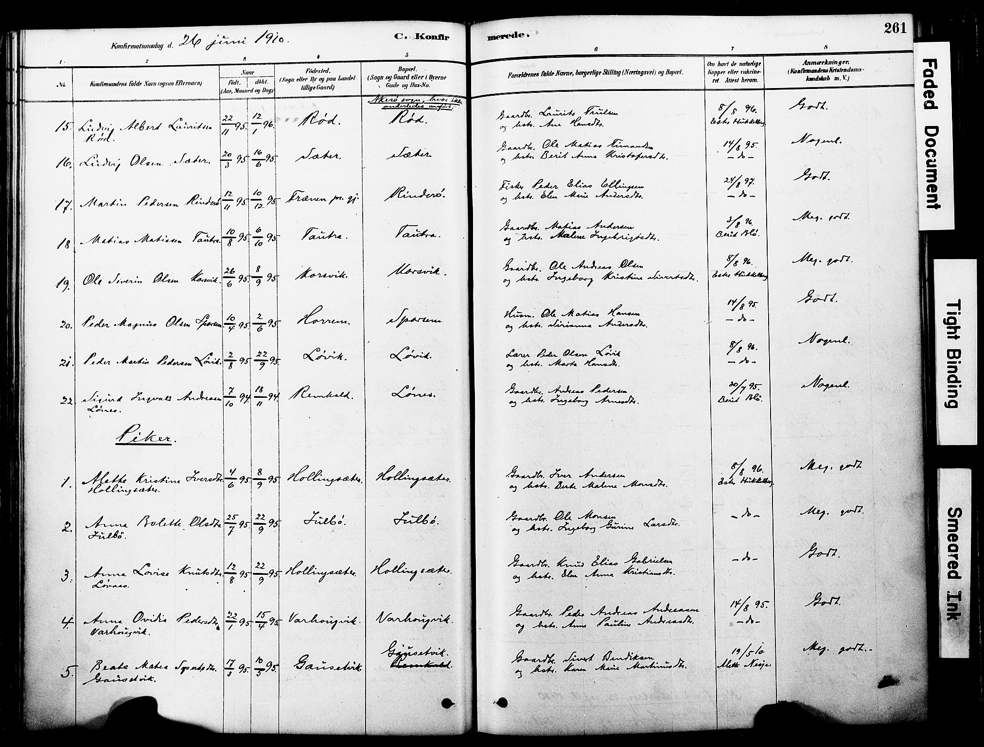 Ministerialprotokoller, klokkerbøker og fødselsregistre - Møre og Romsdal, SAT/A-1454/560/L0721: Ministerialbok nr. 560A05, 1878-1917, s. 261