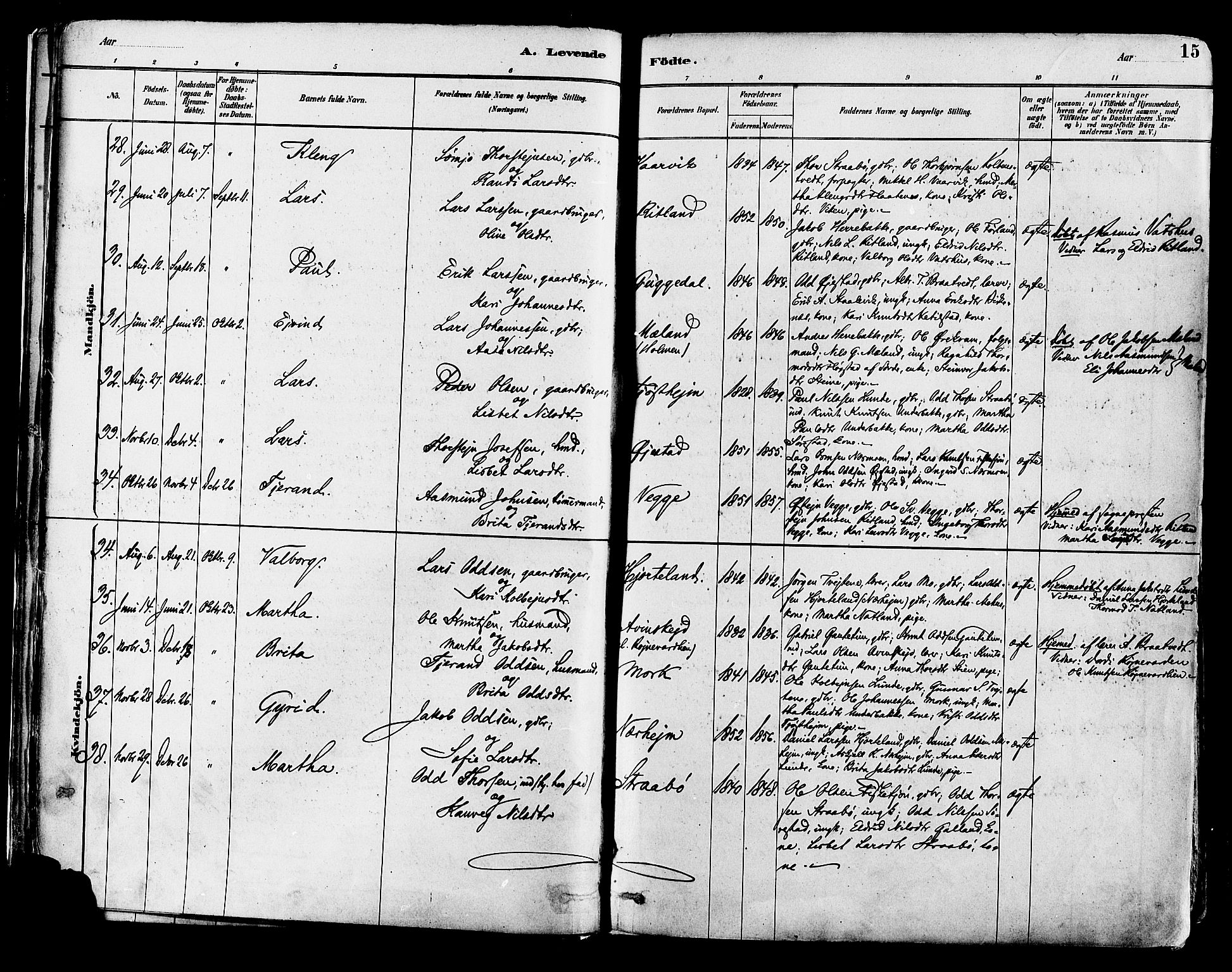 Suldal sokneprestkontor, AV/SAST-A-101845/01/IV/L0011: Ministerialbok nr. A 11, 1878-1900, s. 15