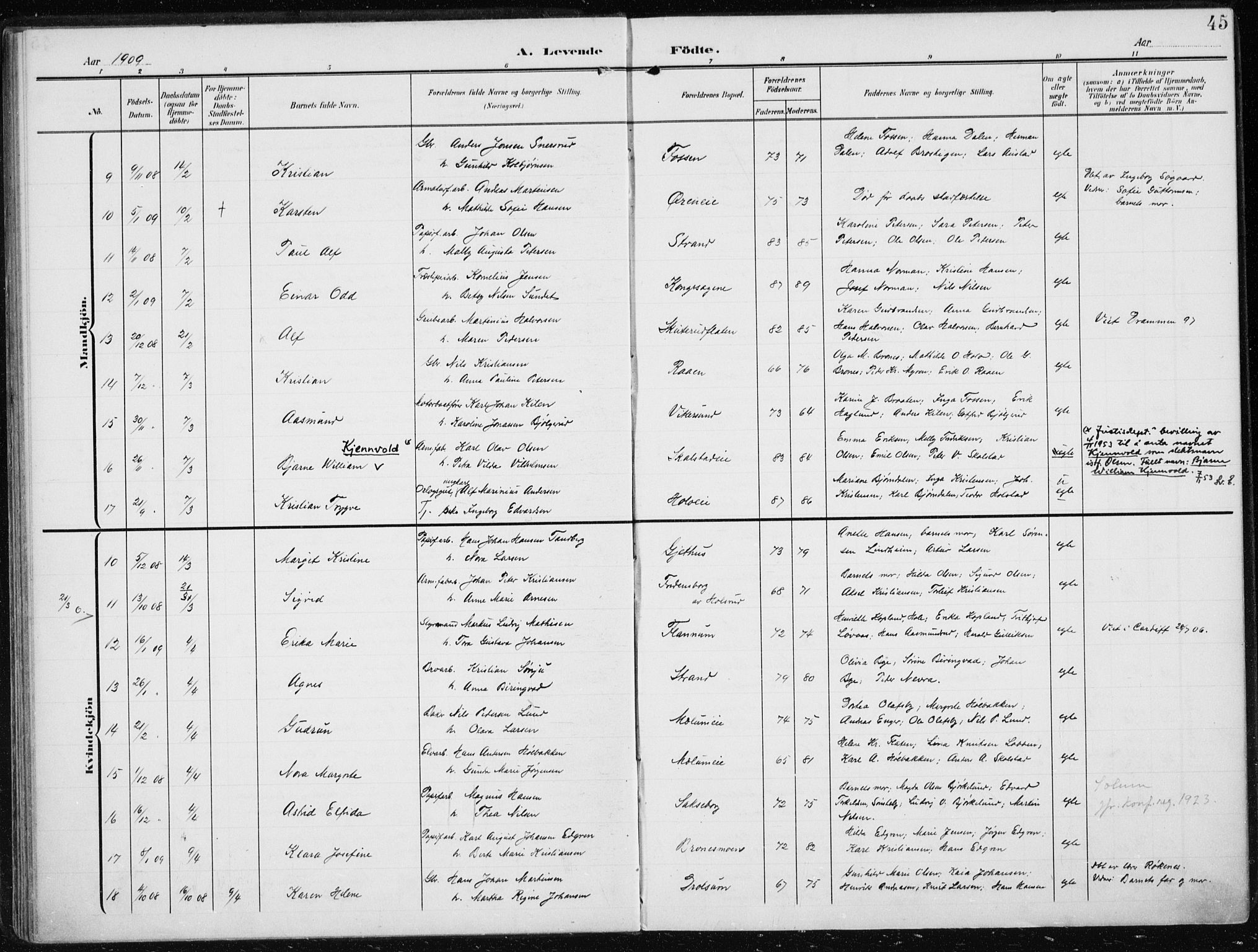 Modum kirkebøker, SAKO/A-234/F/Fa/L0014a: Ministerialbok nr. 14A, 1906-1918, s. 45