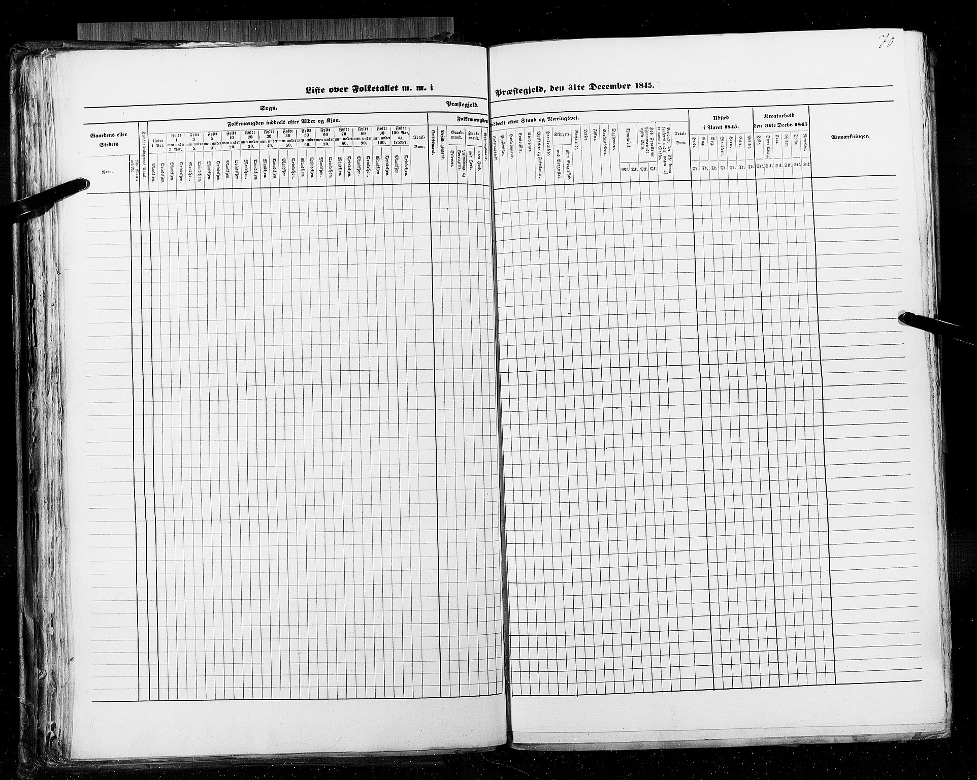 RA, Folketellingen 1845, bind 5: Bratsberg amt og Nedenes og Råbyggelaget amt, 1845, s. 70