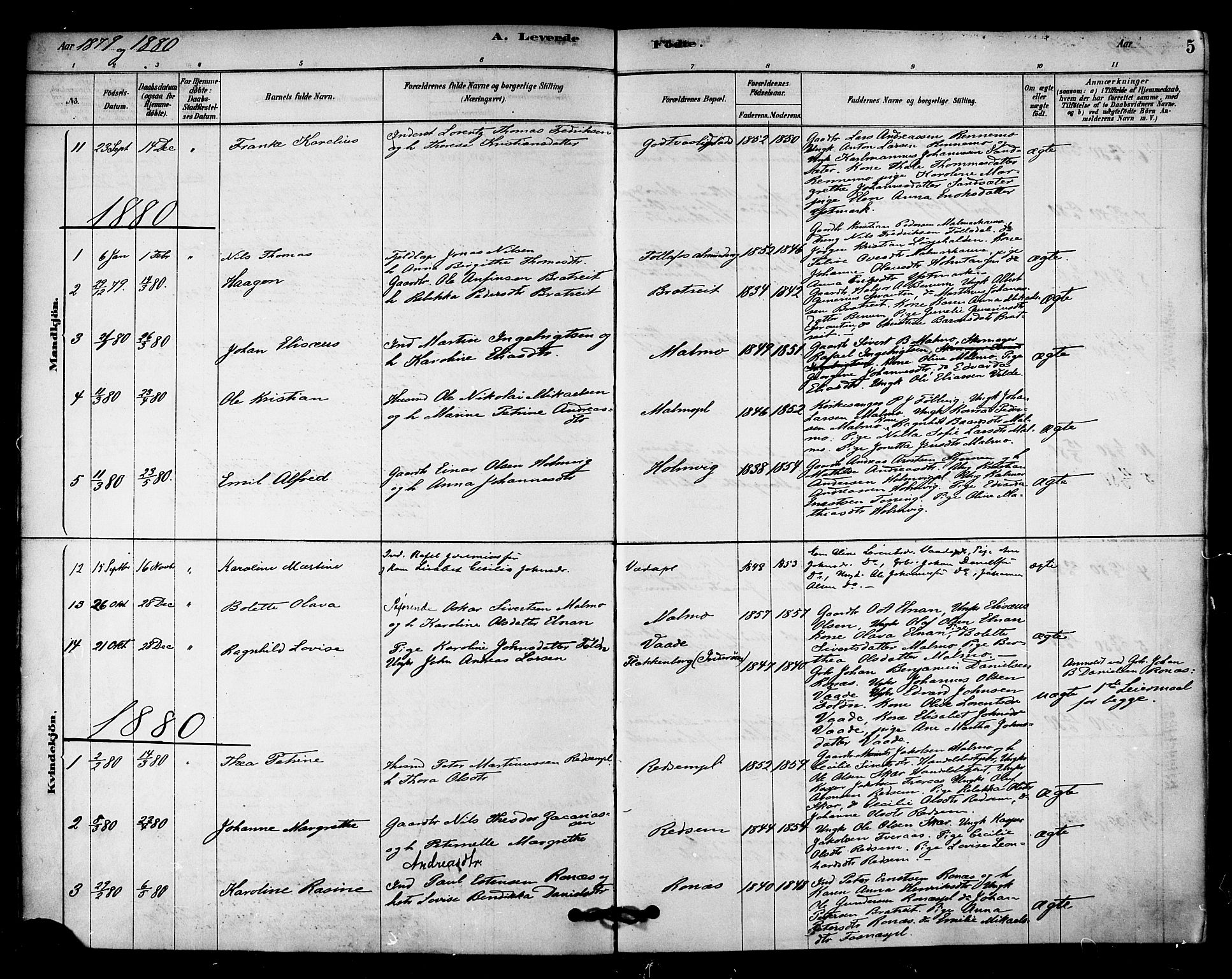 Ministerialprotokoller, klokkerbøker og fødselsregistre - Nord-Trøndelag, AV/SAT-A-1458/745/L0429: Ministerialbok nr. 745A01, 1878-1894, s. 5