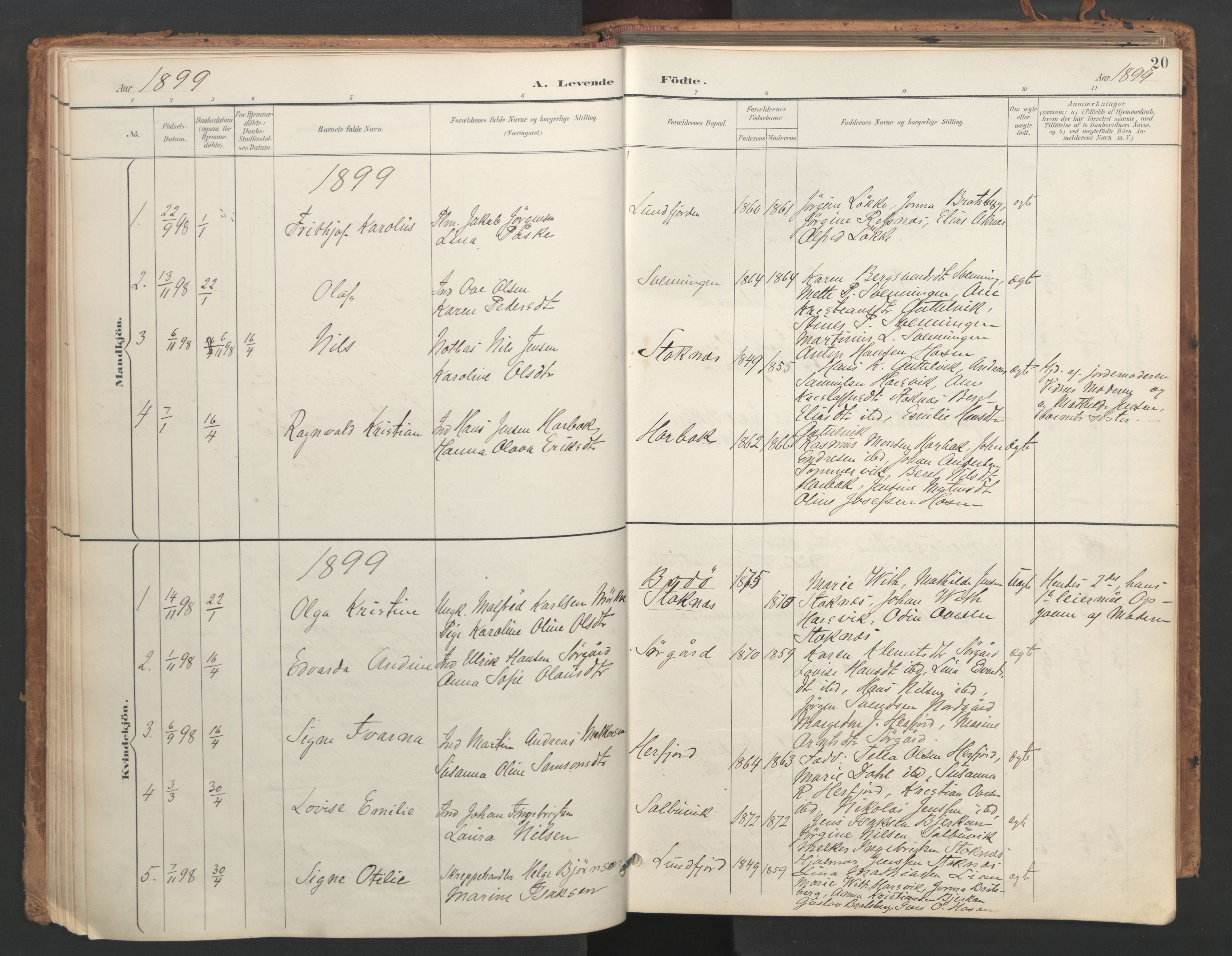 Ministerialprotokoller, klokkerbøker og fødselsregistre - Sør-Trøndelag, AV/SAT-A-1456/656/L0693: Ministerialbok nr. 656A02, 1894-1913, s. 20