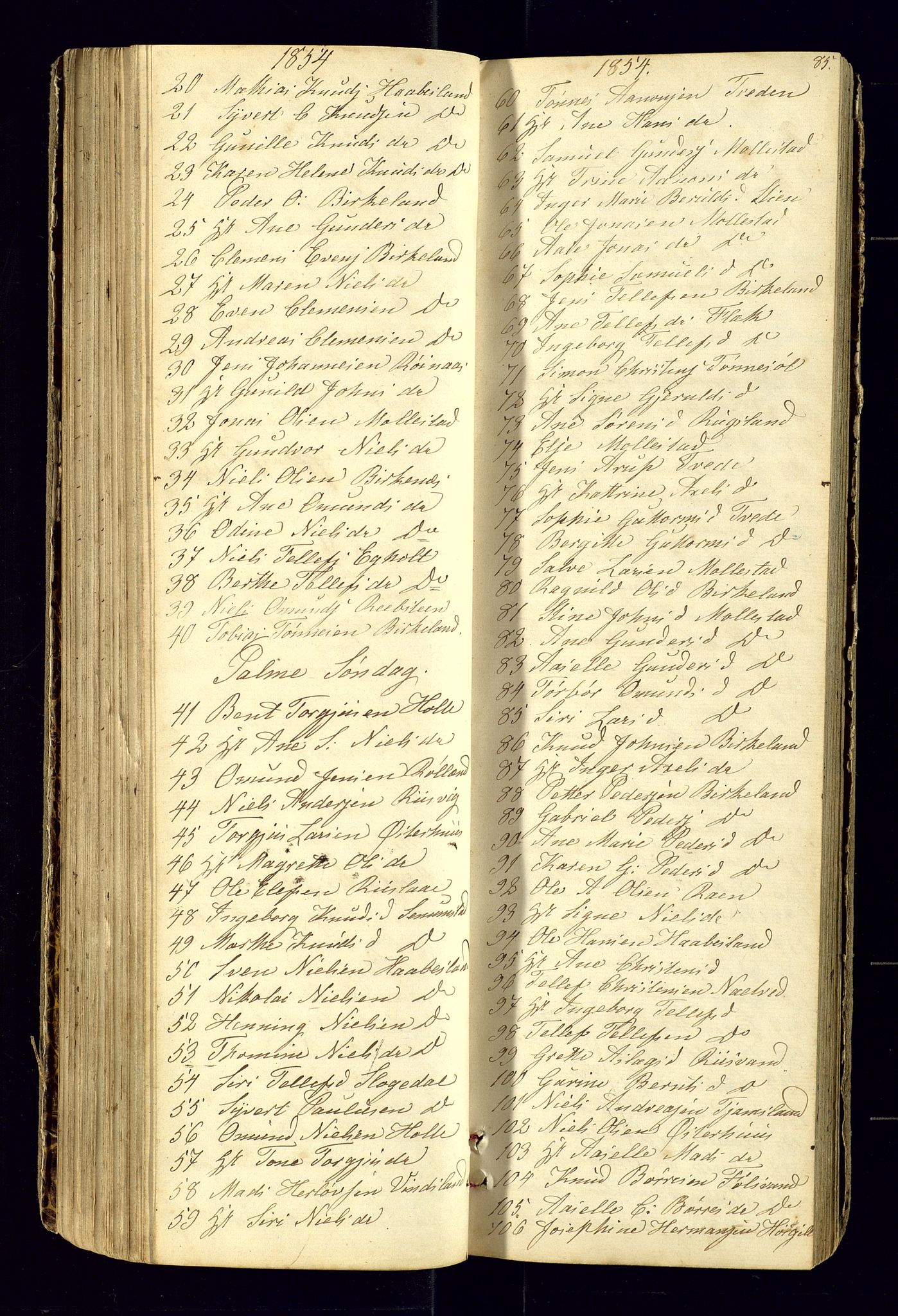 Birkenes sokneprestkontor, SAK/1111-0004/F/Fc/L0003: Kommunikantprotokoll nr. C-3, 1849-1858, s. 85