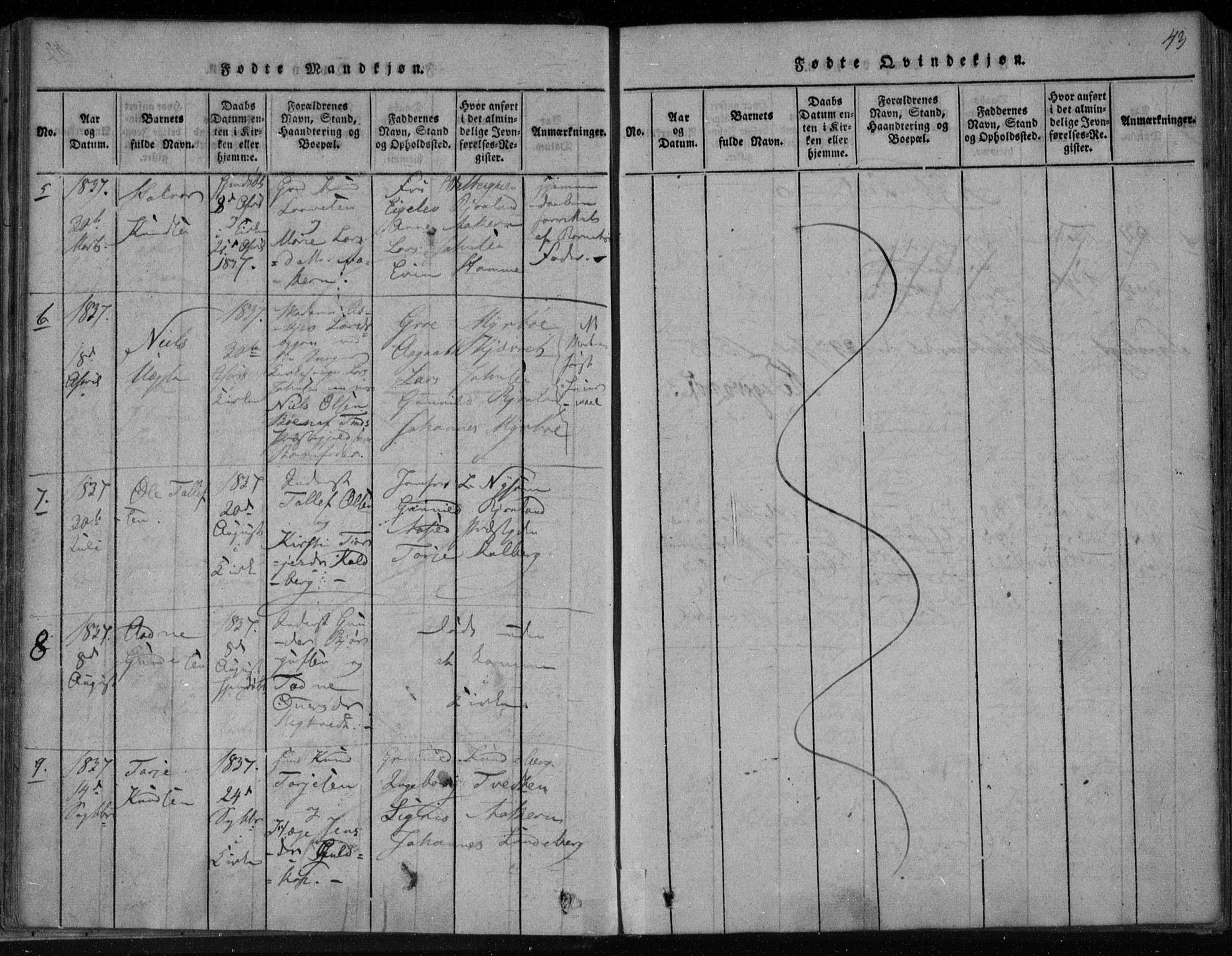 Lårdal kirkebøker, SAKO/A-284/F/Fa/L0005: Ministerialbok nr. I 5, 1815-1860, s. 43
