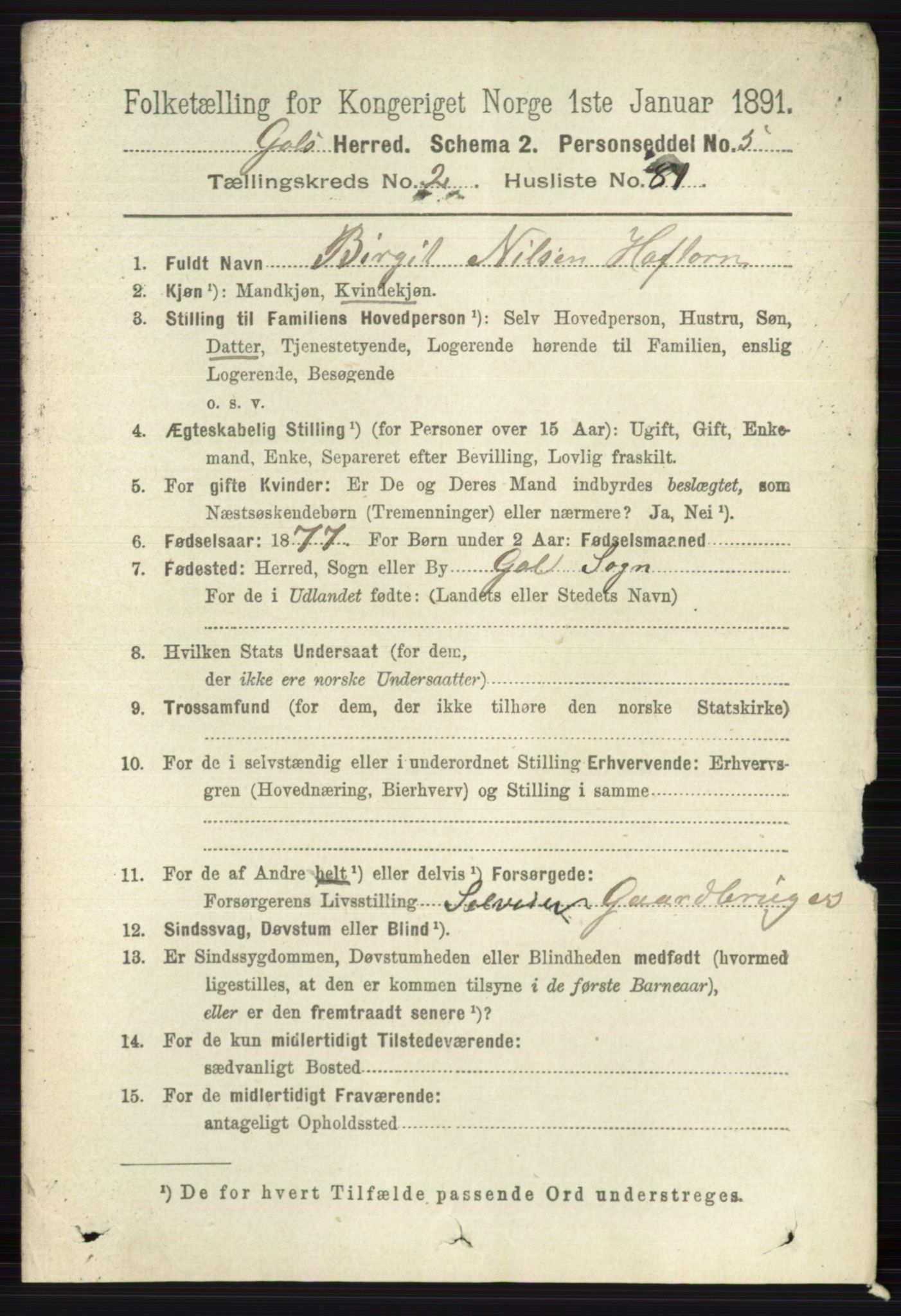 RA, Folketelling 1891 for 0617 Gol og Hemsedal herred, 1891, s. 1187