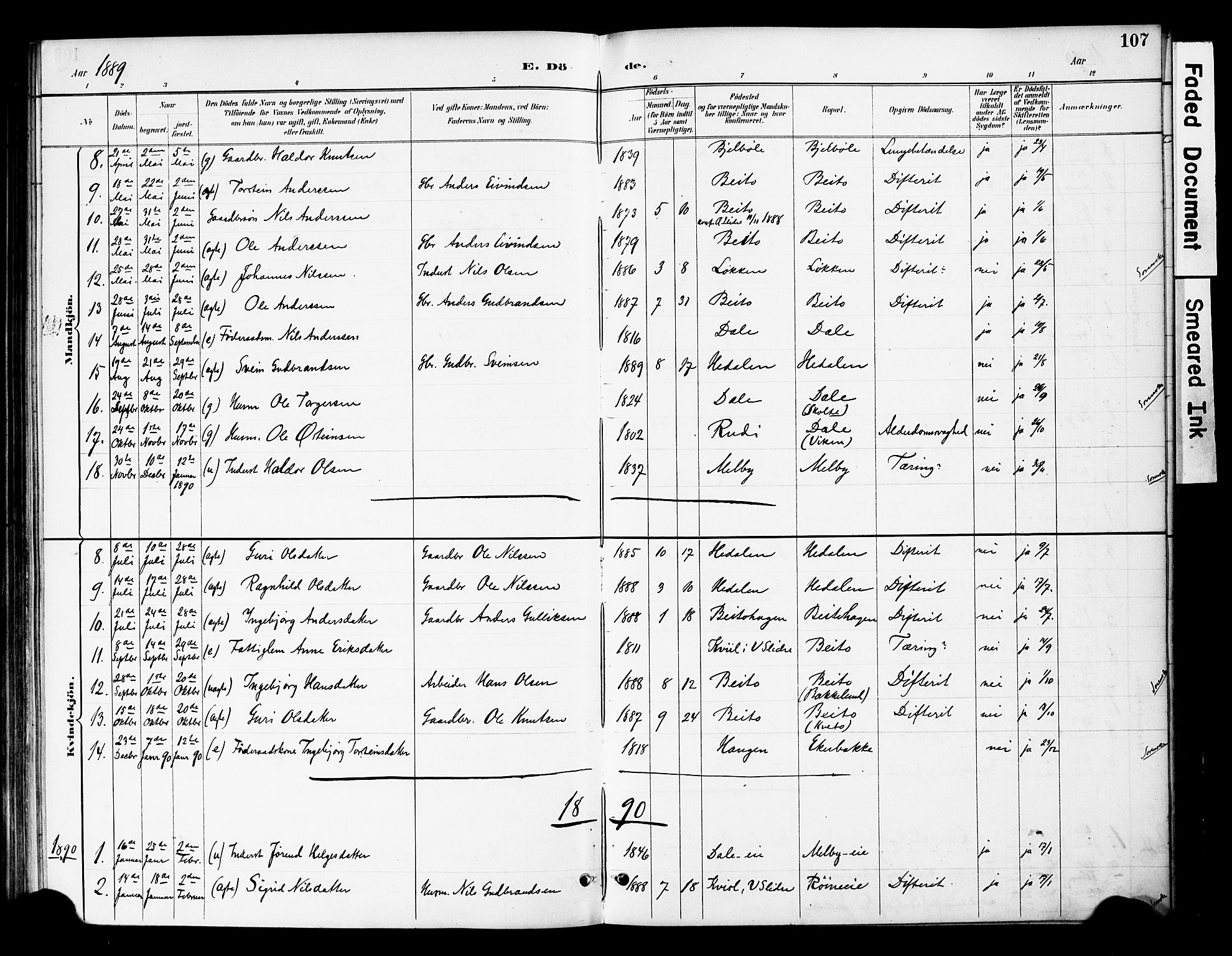 Øystre Slidre prestekontor, AV/SAH-PREST-138/H/Ha/Haa/L0004: Ministerialbok nr. 4, 1887-1910, s. 107